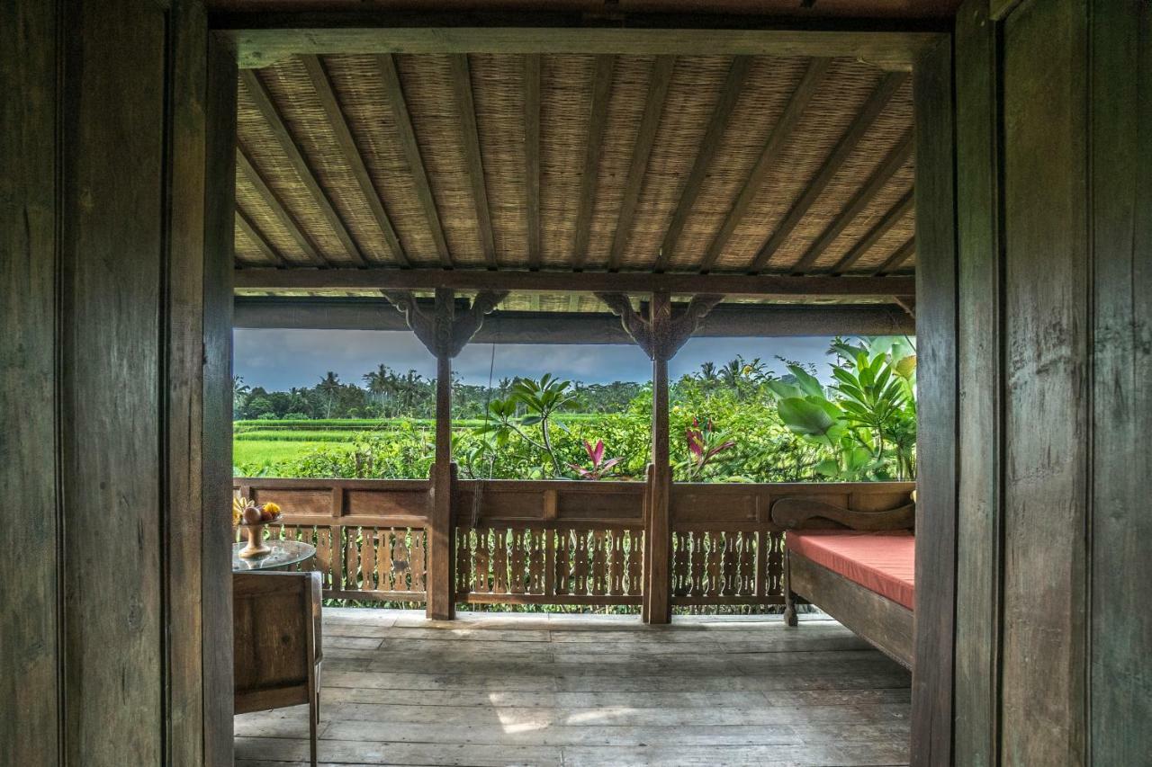 Malaya Ubud 3*
