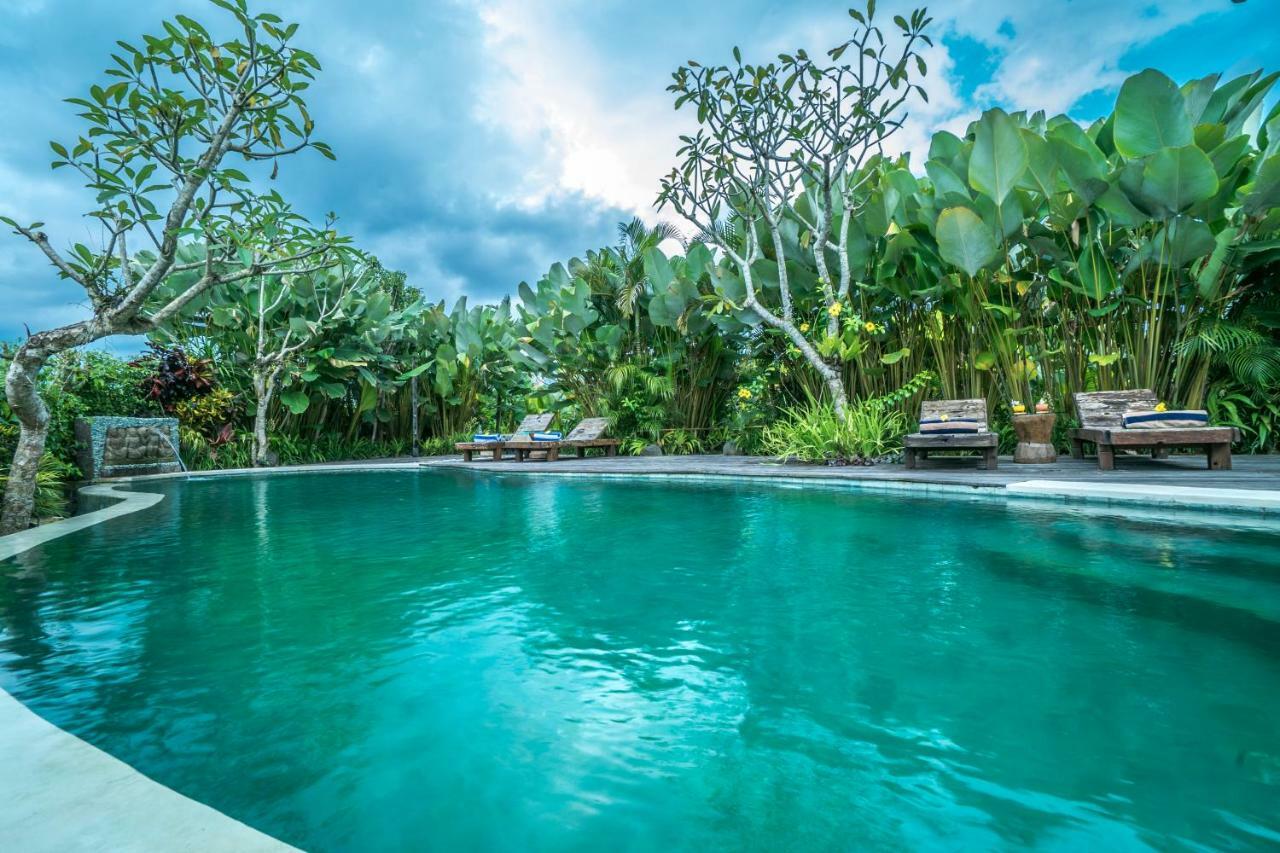 Guest house Malaya Ubud