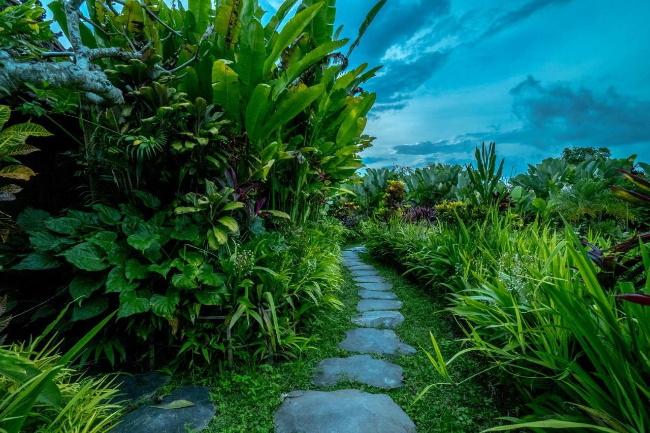 Malaya Ubud