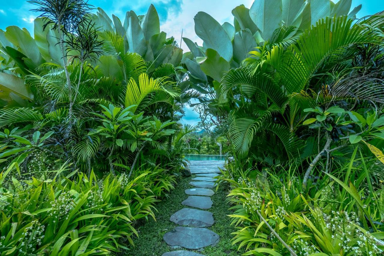 Malaya Ubud Guest house