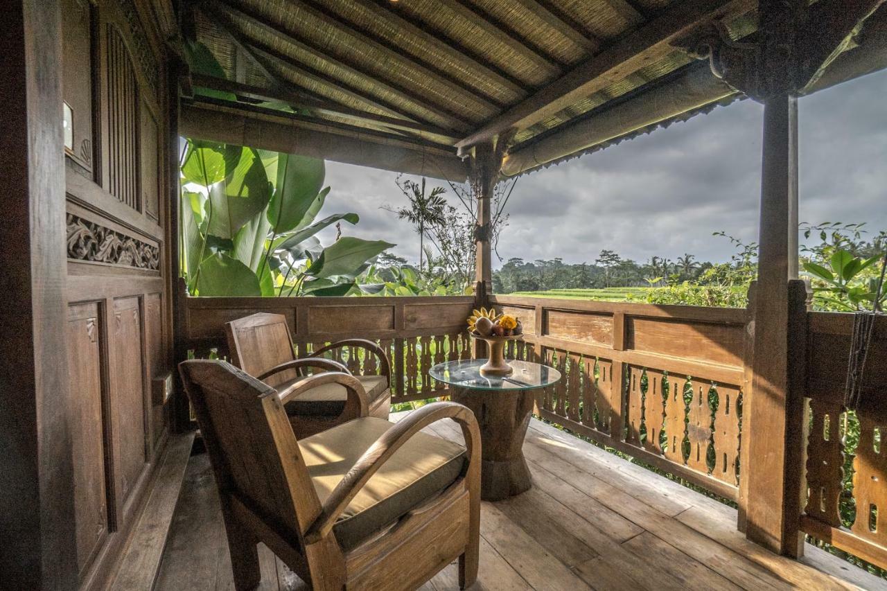 Guest house Malaya Ubud