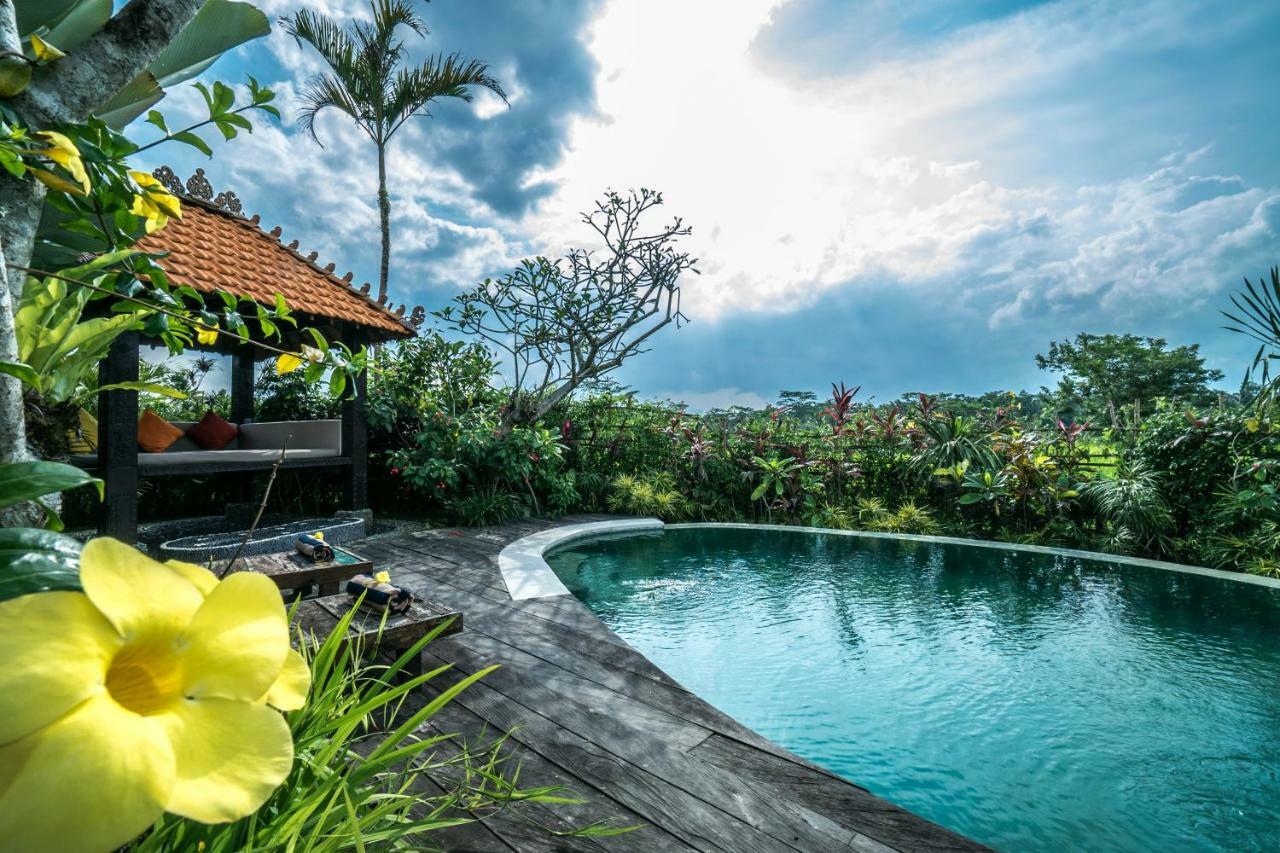 Malaya Ubud 3* Tegallalang (Bali)