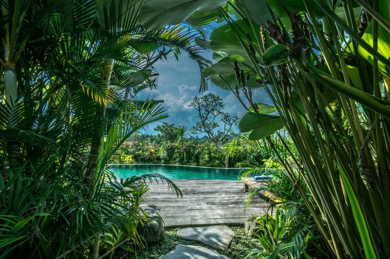 Malaya Ubud Guest house Tegallalang (Bali)