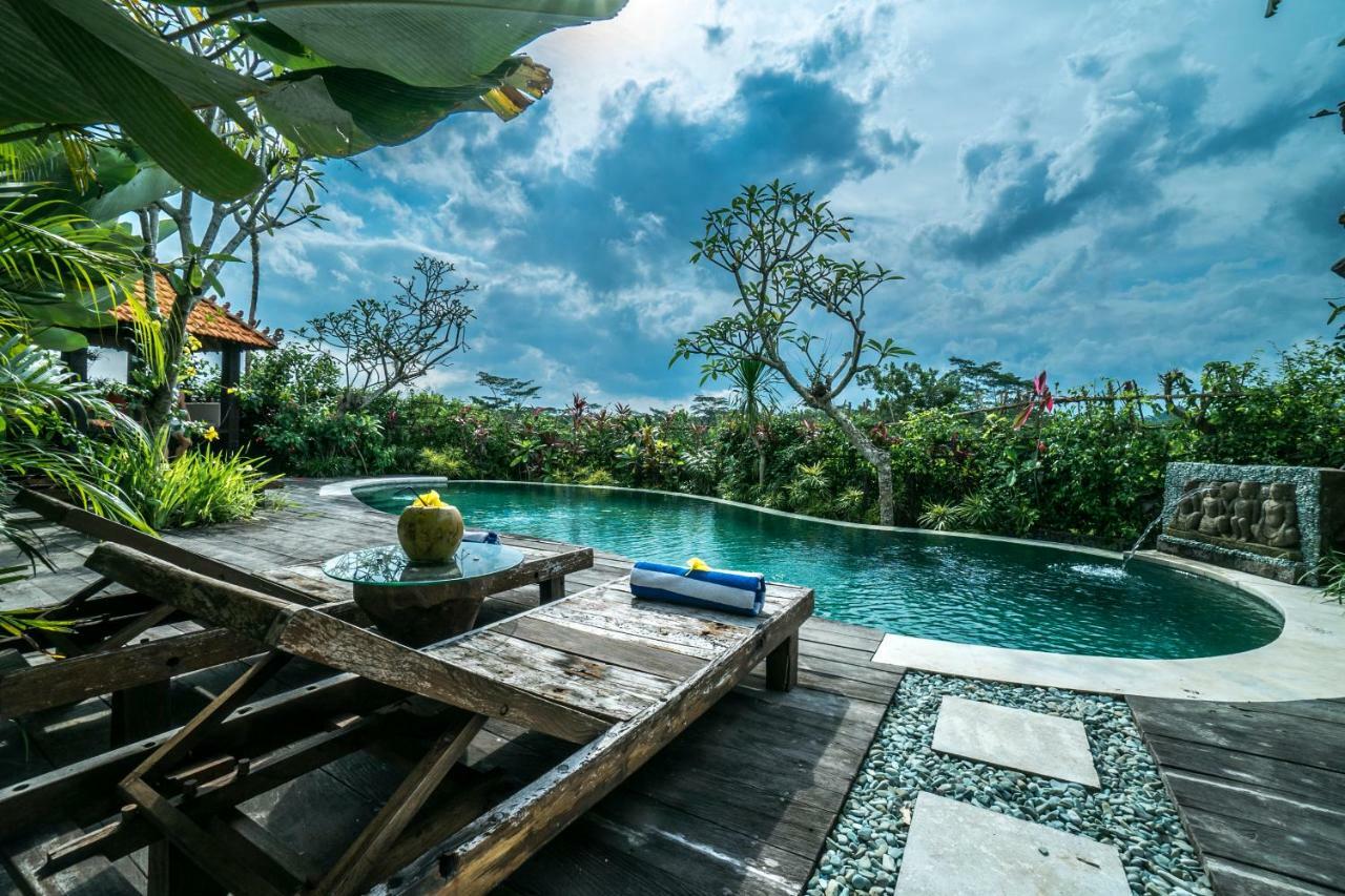 Guest house Malaya Ubud