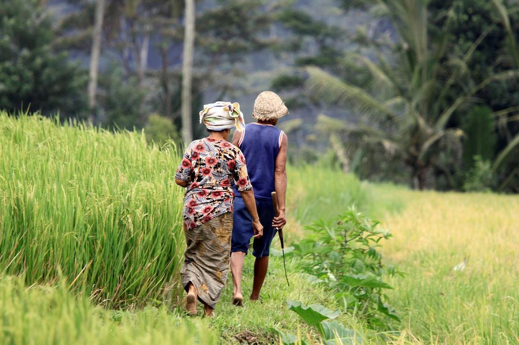 Resor Puri Gangga Ubud Tegallalang (Bali)