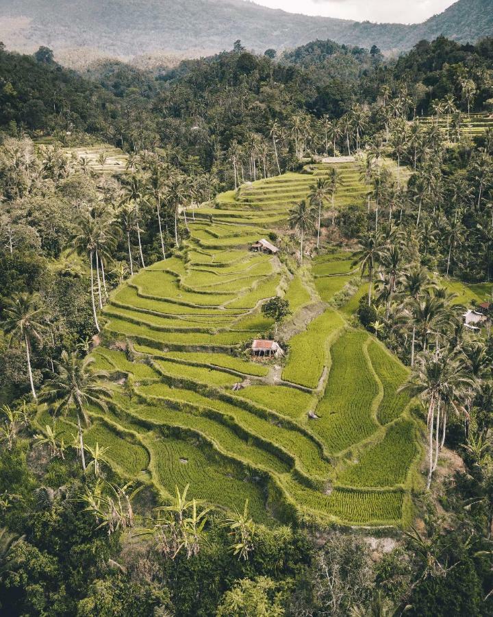 Bali Bio Guest house Uluwatu (Bali)