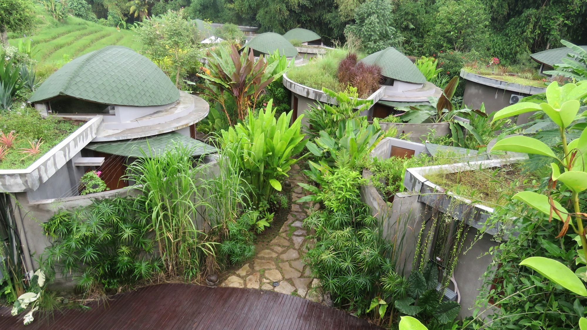 De Moksha Eco Friendly Boutique Resort Resort