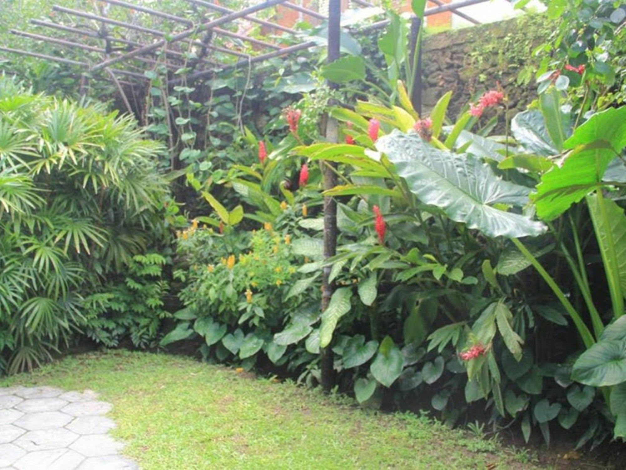 Resort Tandjung Sari Sanur (Bali)