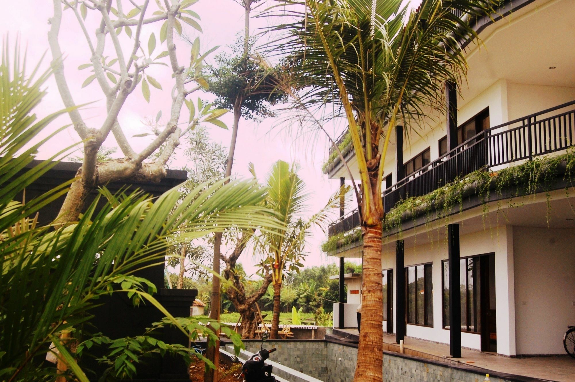 Grandpa Canggu (Bali)