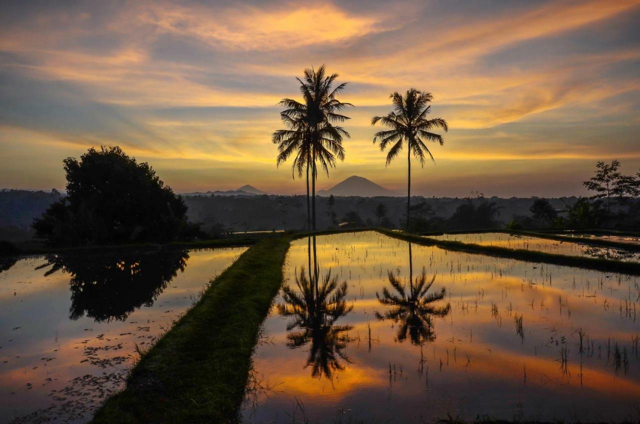 Ti Amo Bali Holiday park Jatiluwih