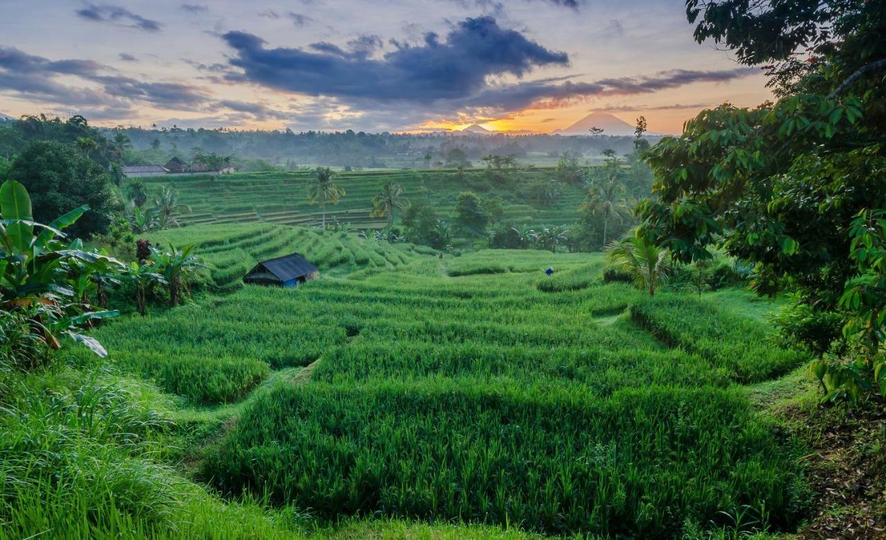 Ti Amo Bali 4*