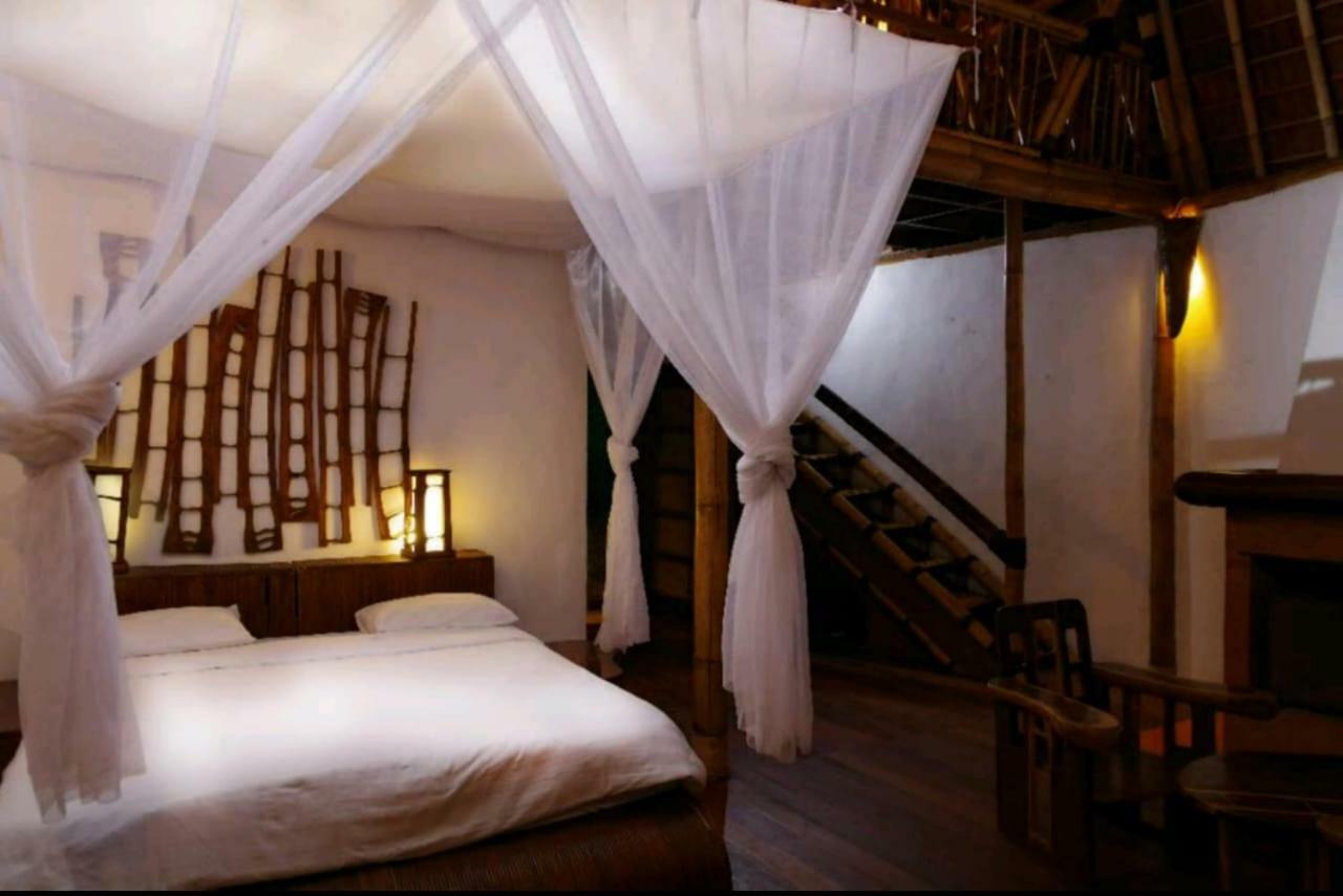 Bali Eco Village Plaga