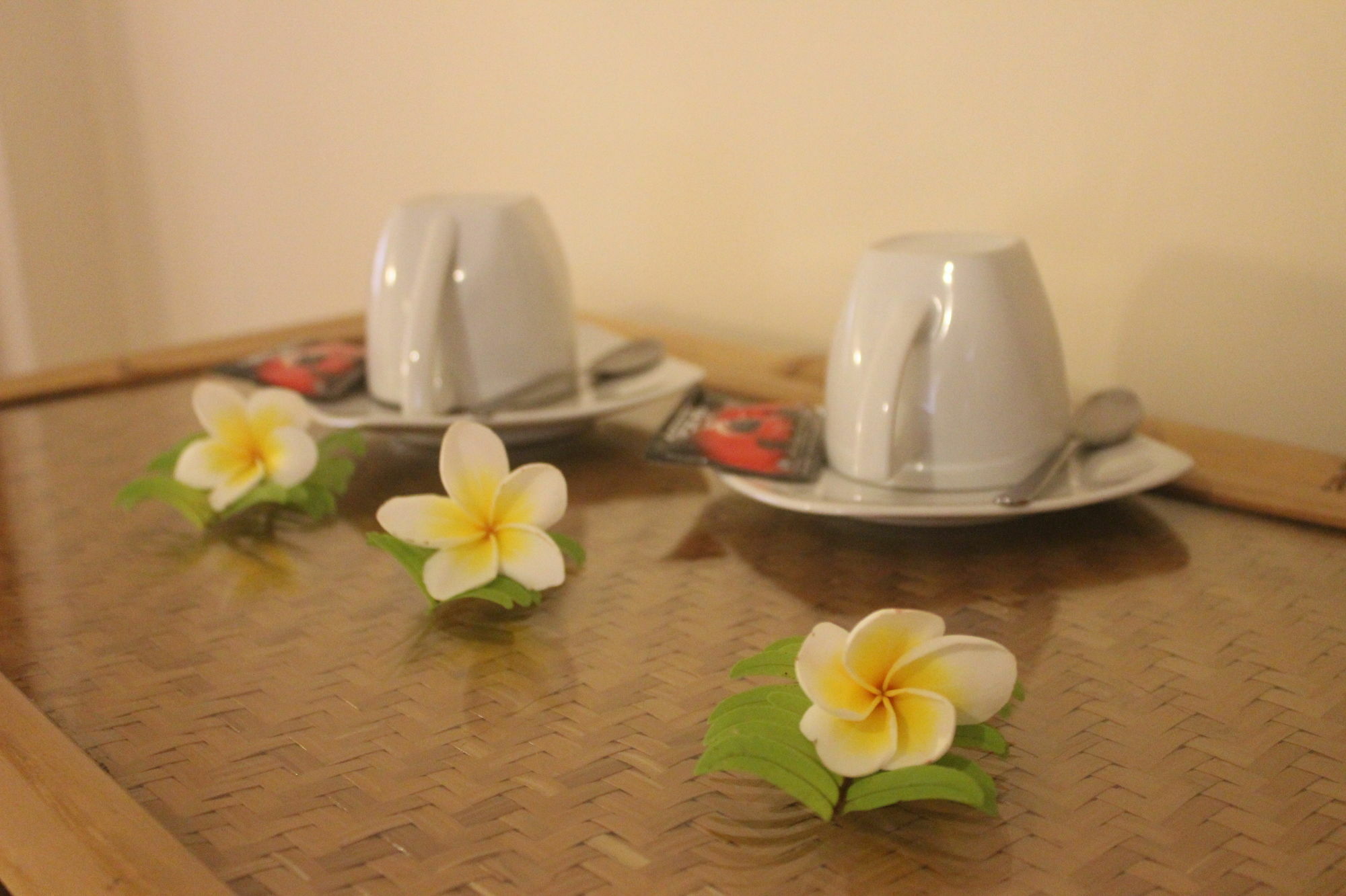 Hotel Chonos Lovina (Bali)