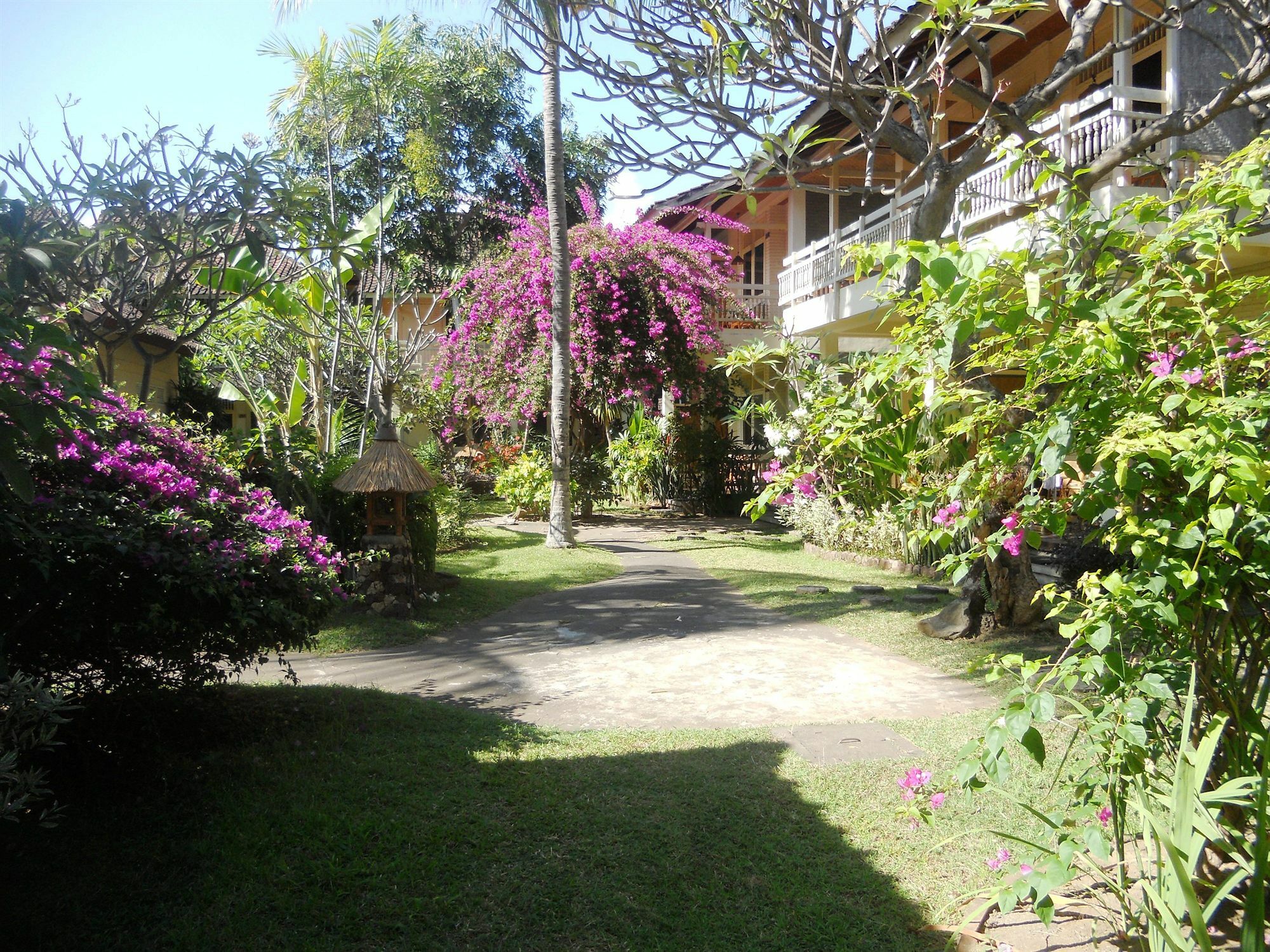 Hotel Bali Lovina Buleleng (Bali)
