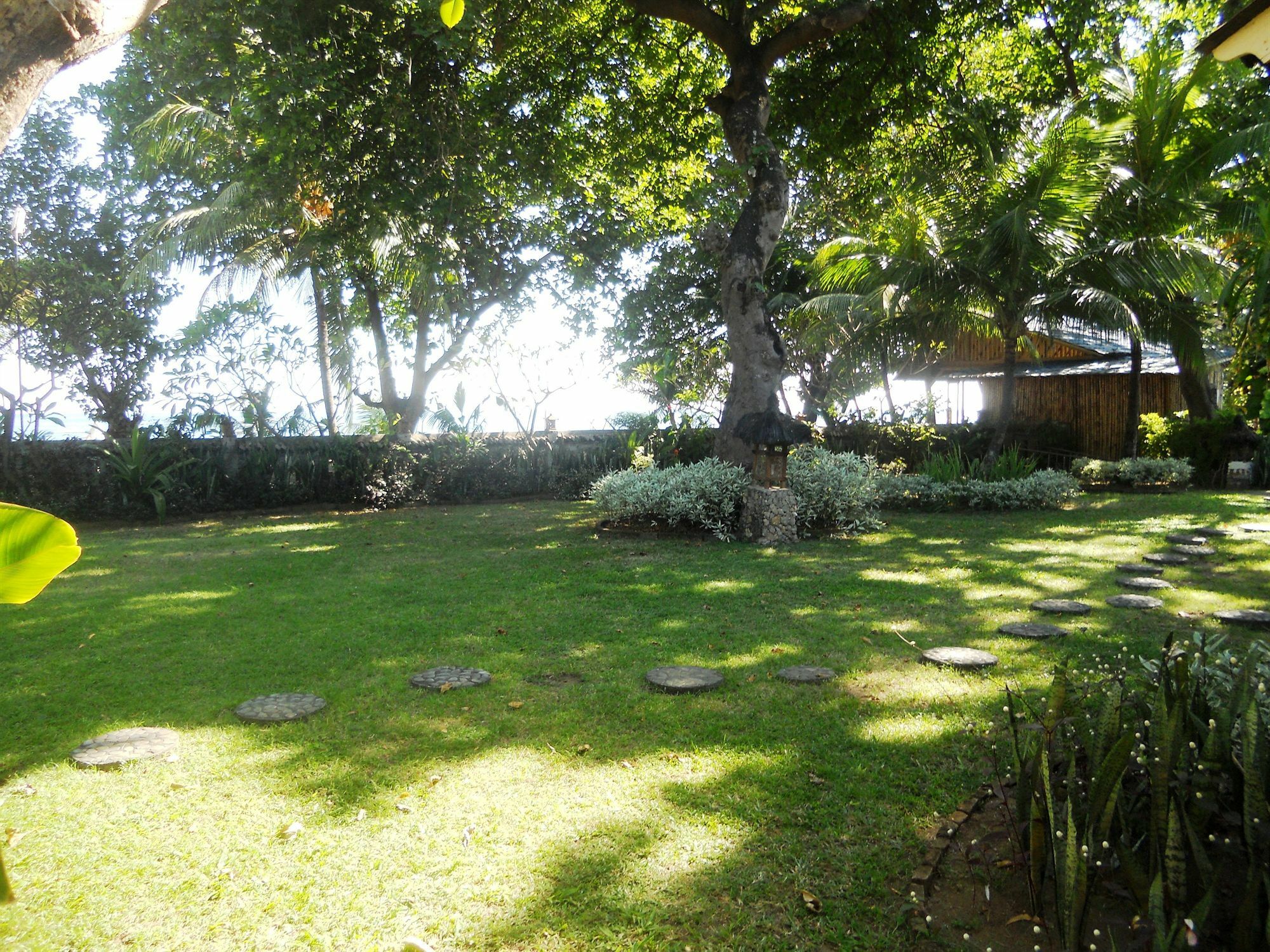 Bali Lovina Buleleng (Bali)
