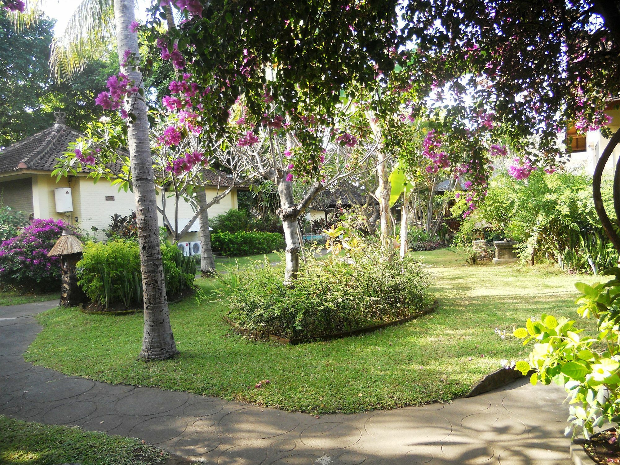 Bali Lovina Buleleng (Bali)