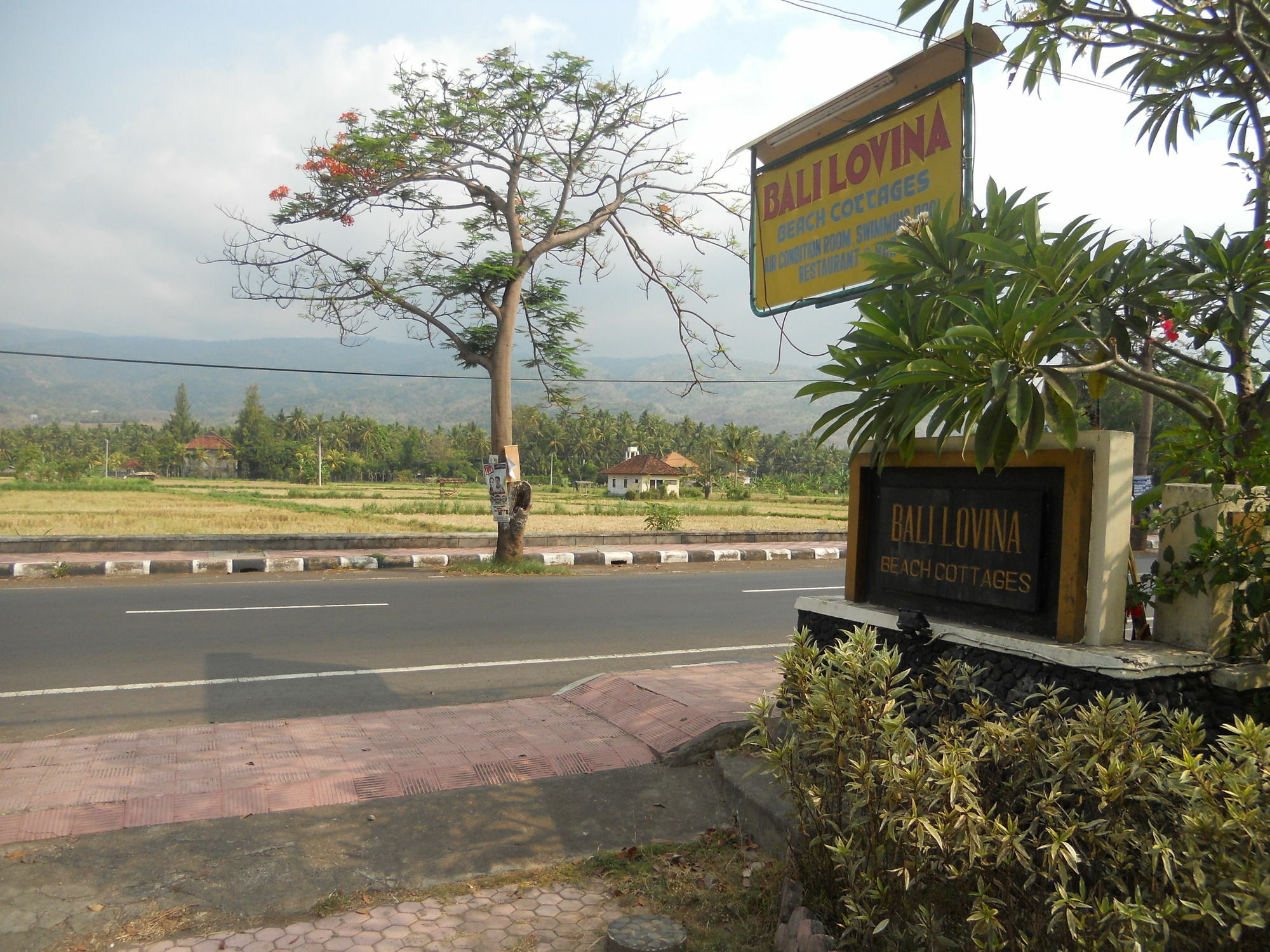 Bali Lovina 3*