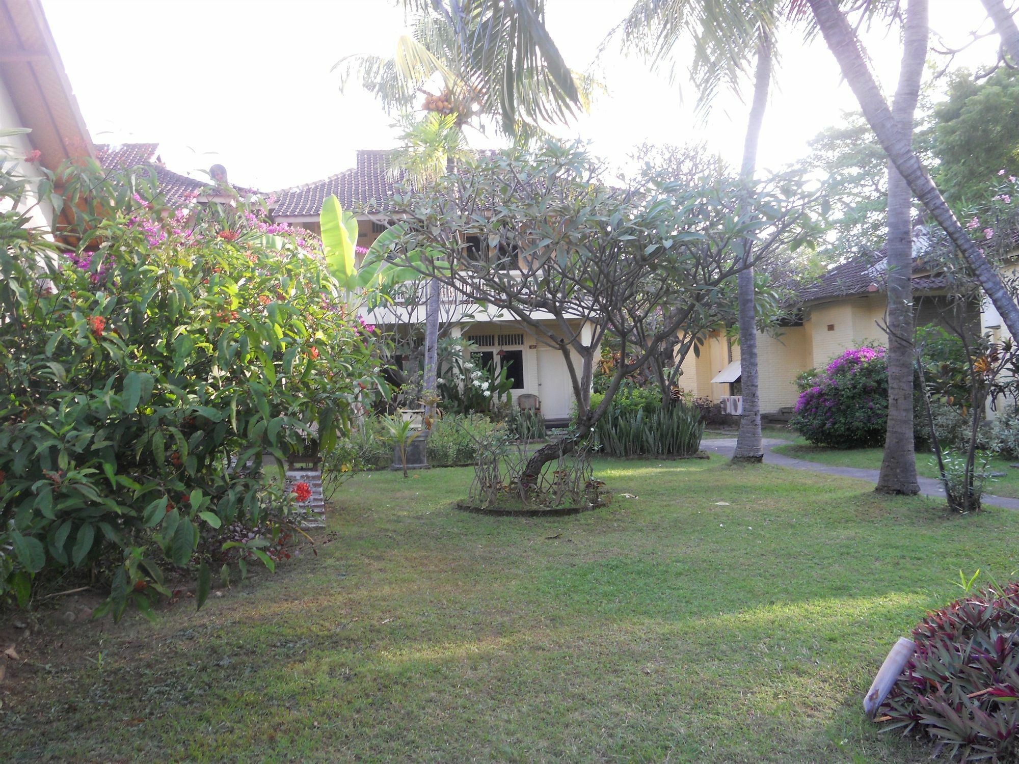 Bali Lovina 3* Buleleng (Bali)