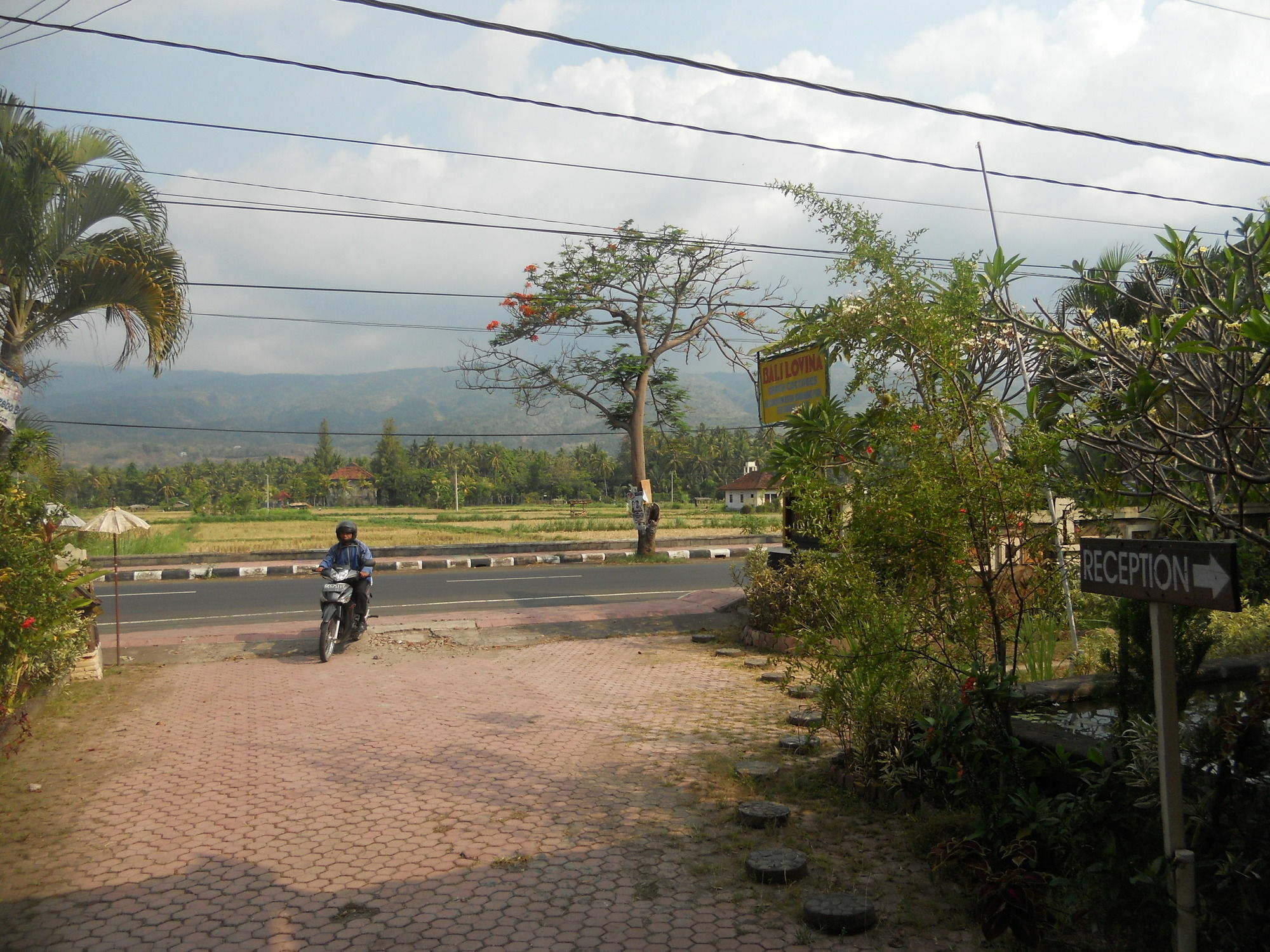 Bali Lovina Hotel