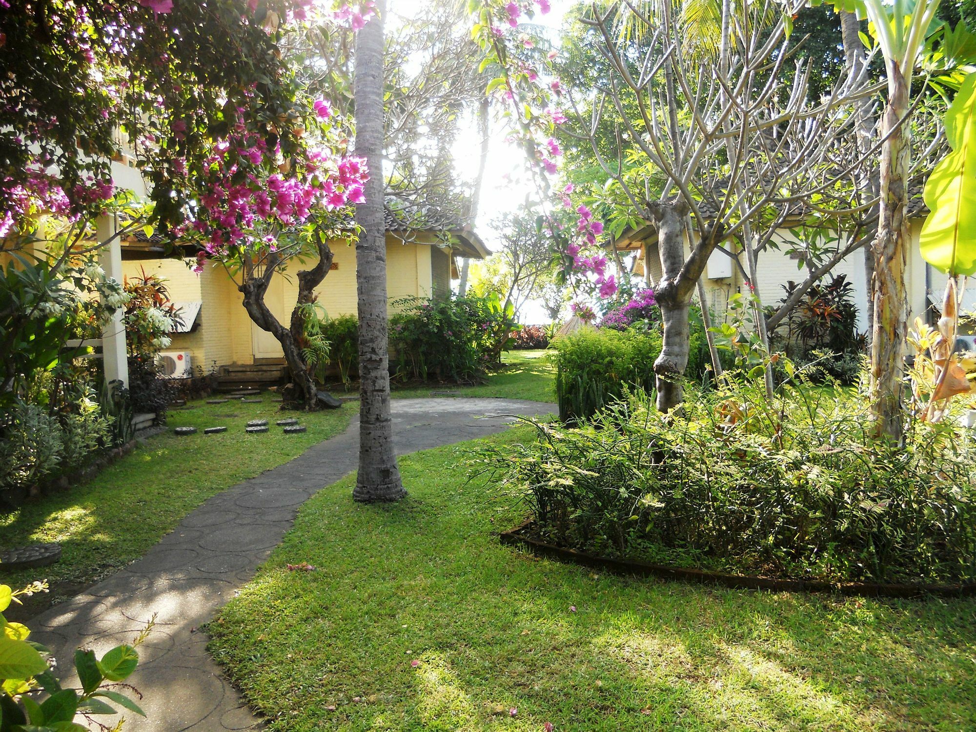 Hotel Bali Lovina 3*