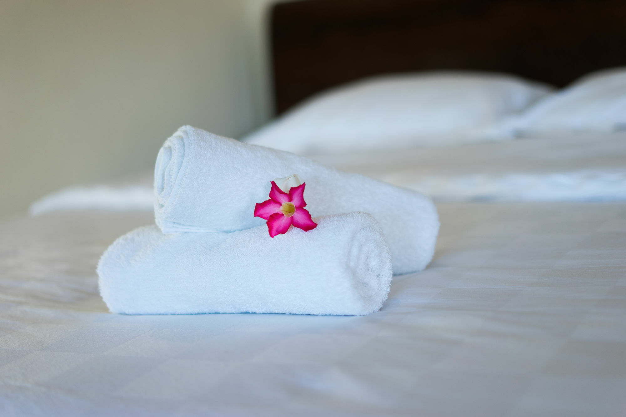 Holiday park Ware Ware Surf Nusa Lembongan (Bali)