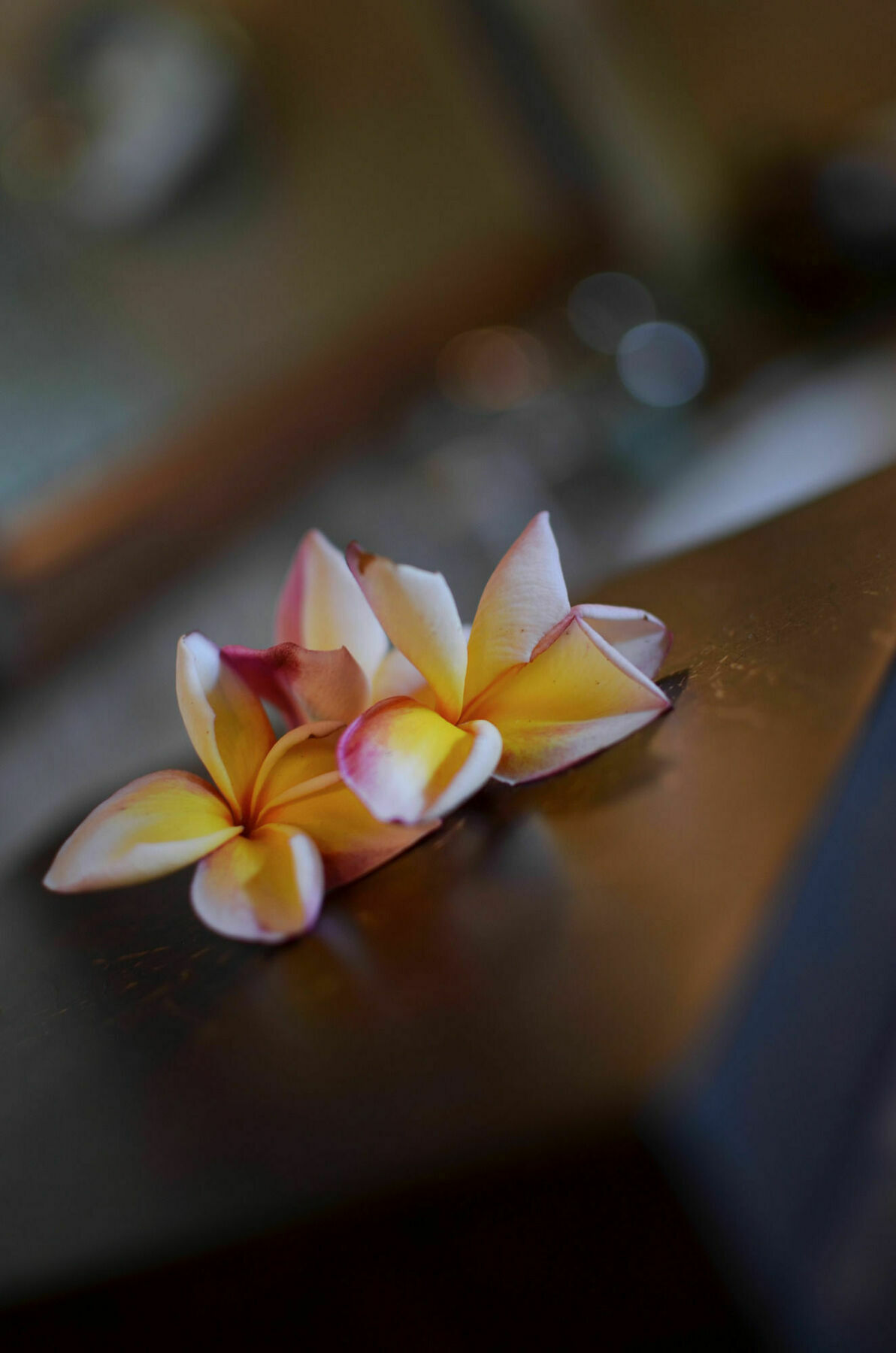 Hanani Villa Jimbaran (Bali)