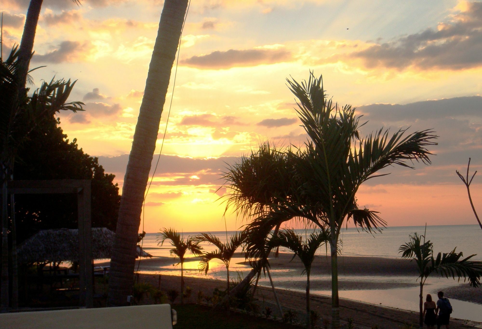 Dolphin Bali Lovina (Bali)