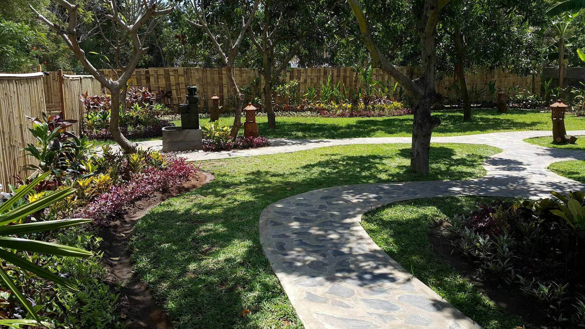 Mango Tree Guest house