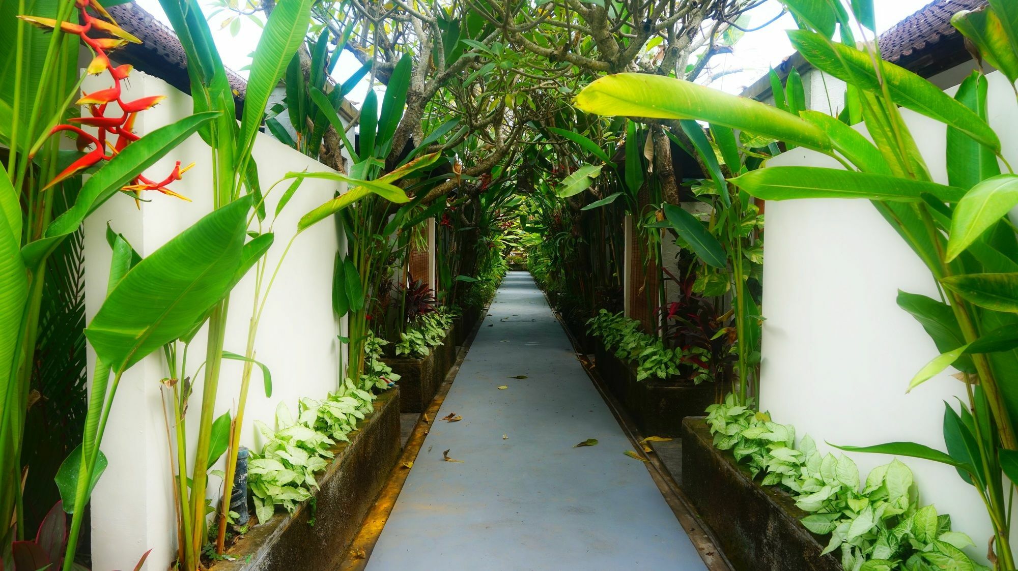 Hotel Rama Petitenget 4*