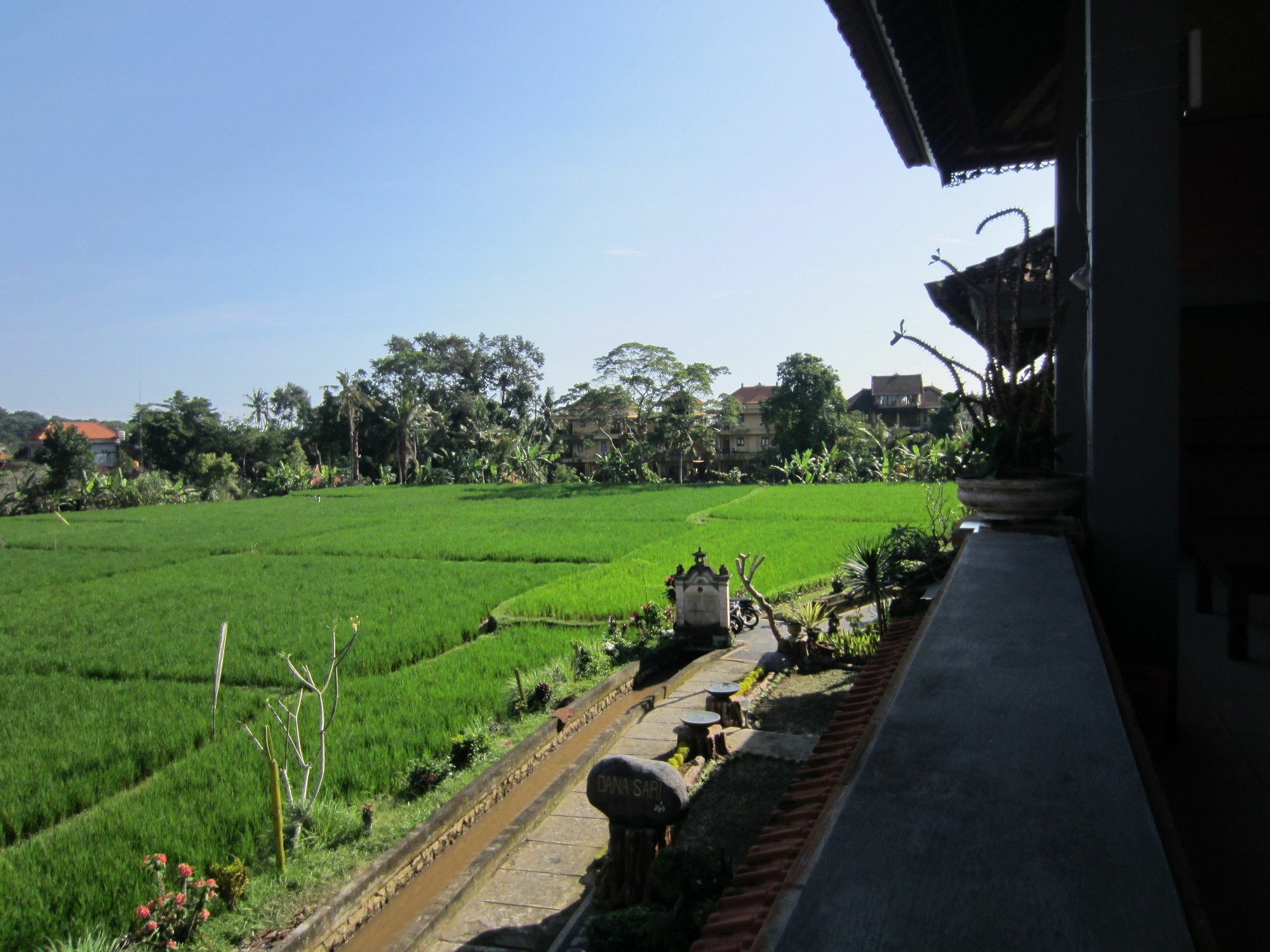 Guest house Danasari Homestay Ubud (Bali)