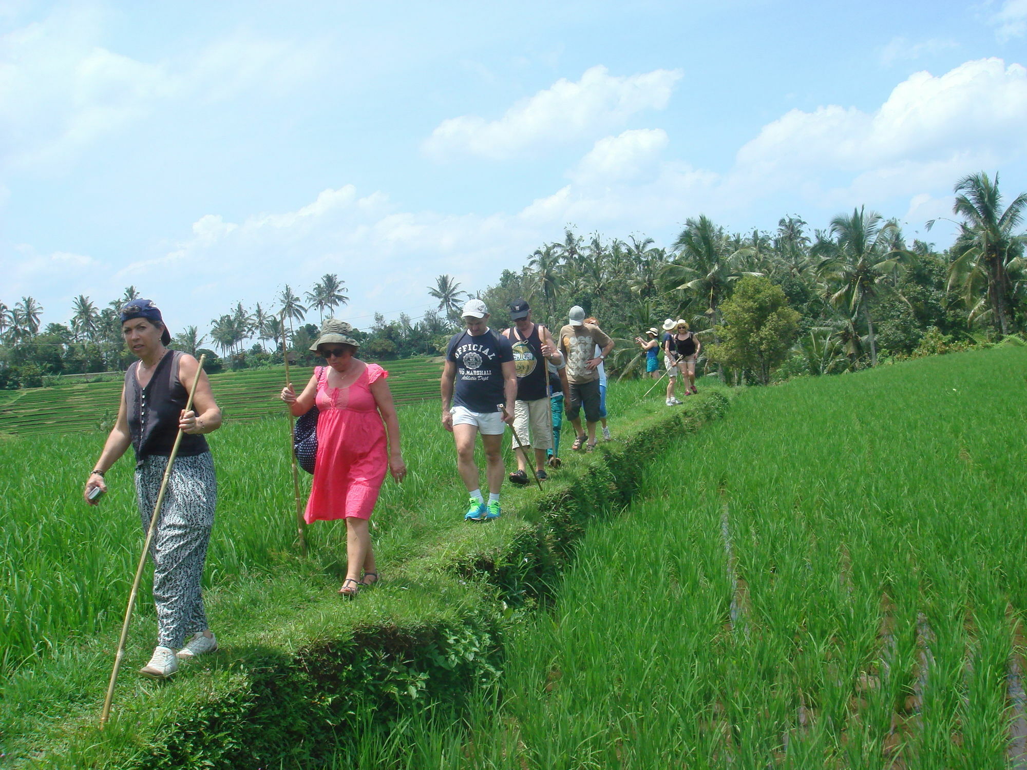 Cempaka Belimbing