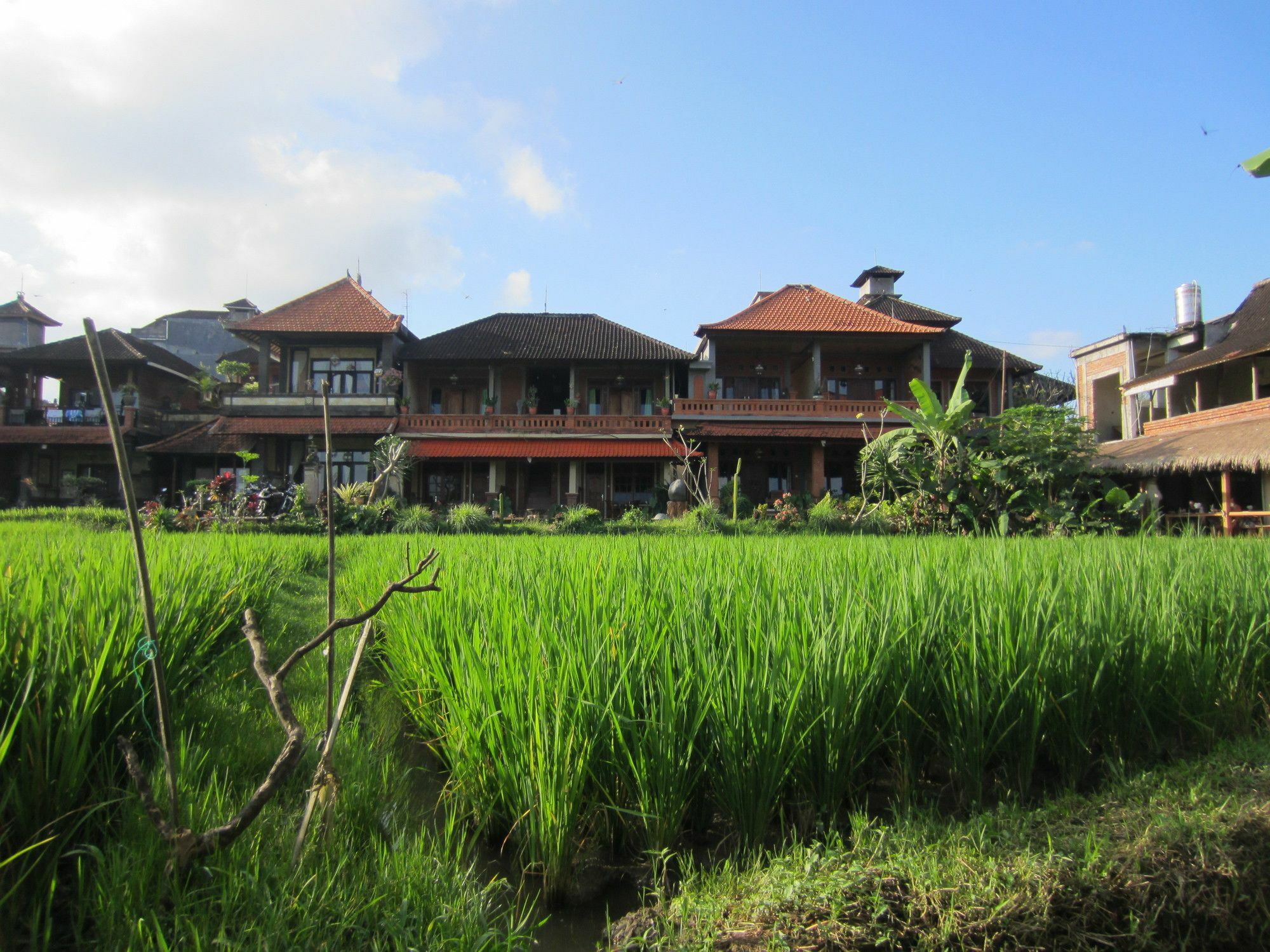 Danasari Homestay Guest house 2*