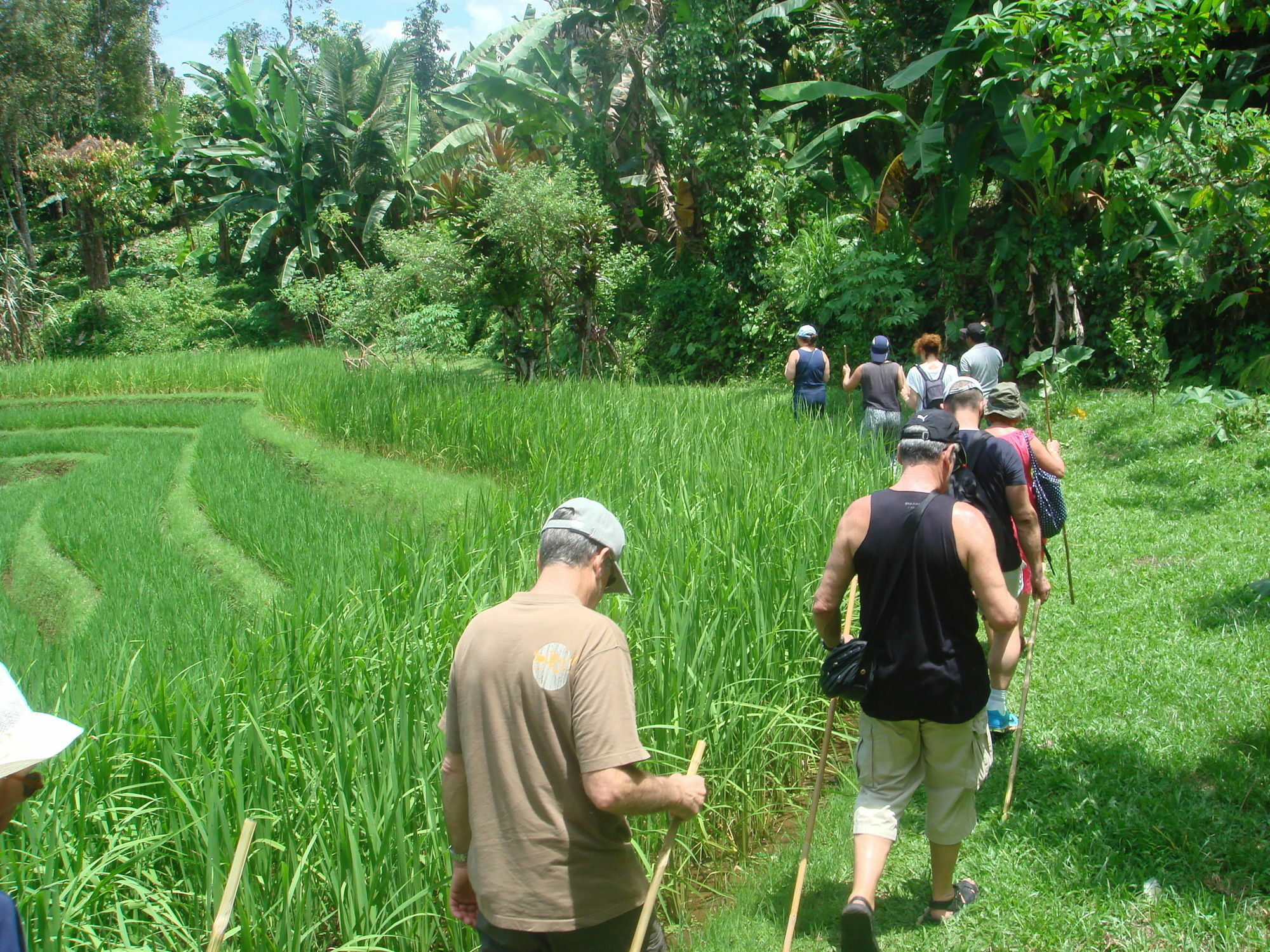 Cempaka Belimbing 4*