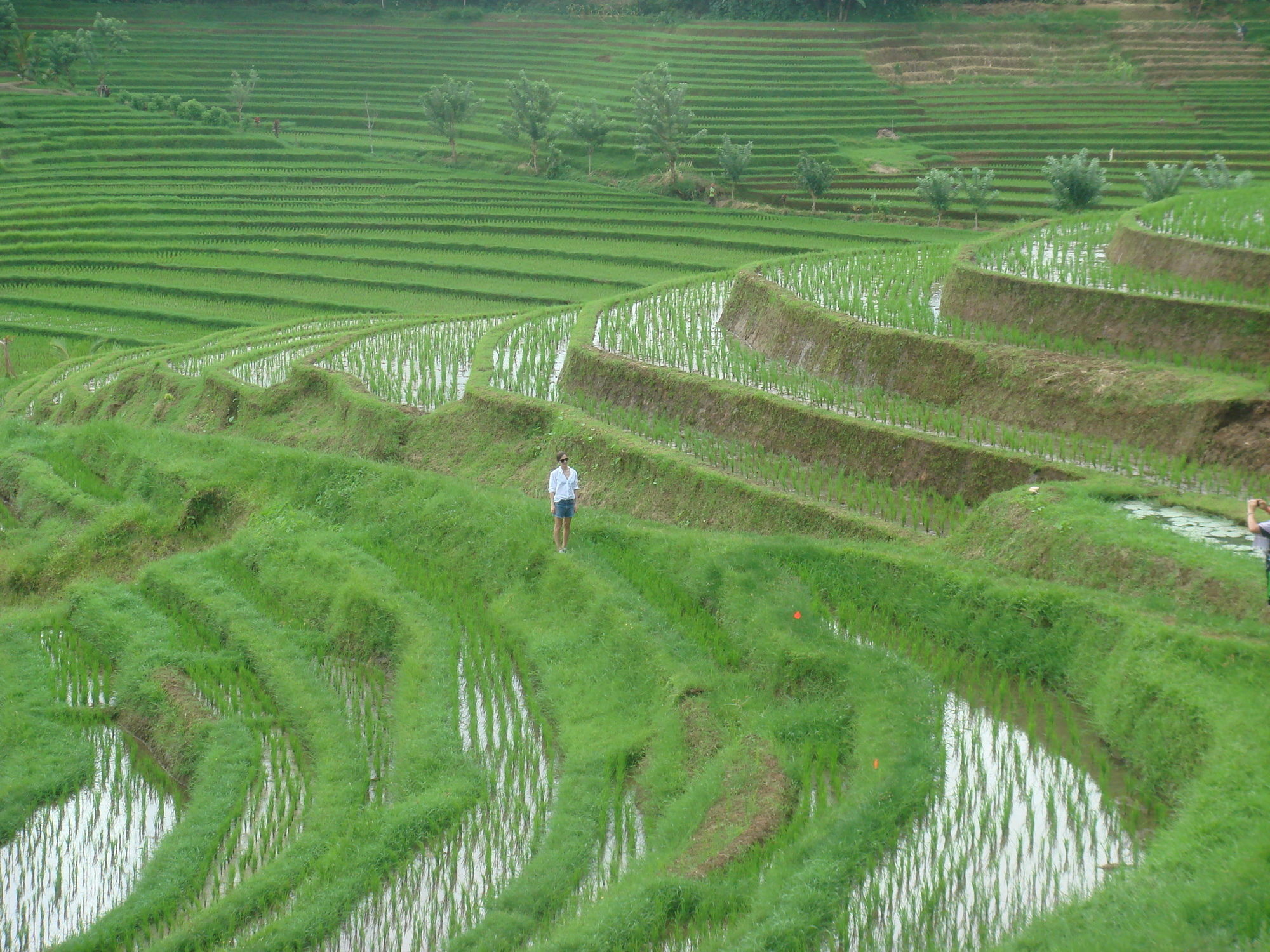 Taman liburan Cempaka Belimbing Blimbing (Bali)