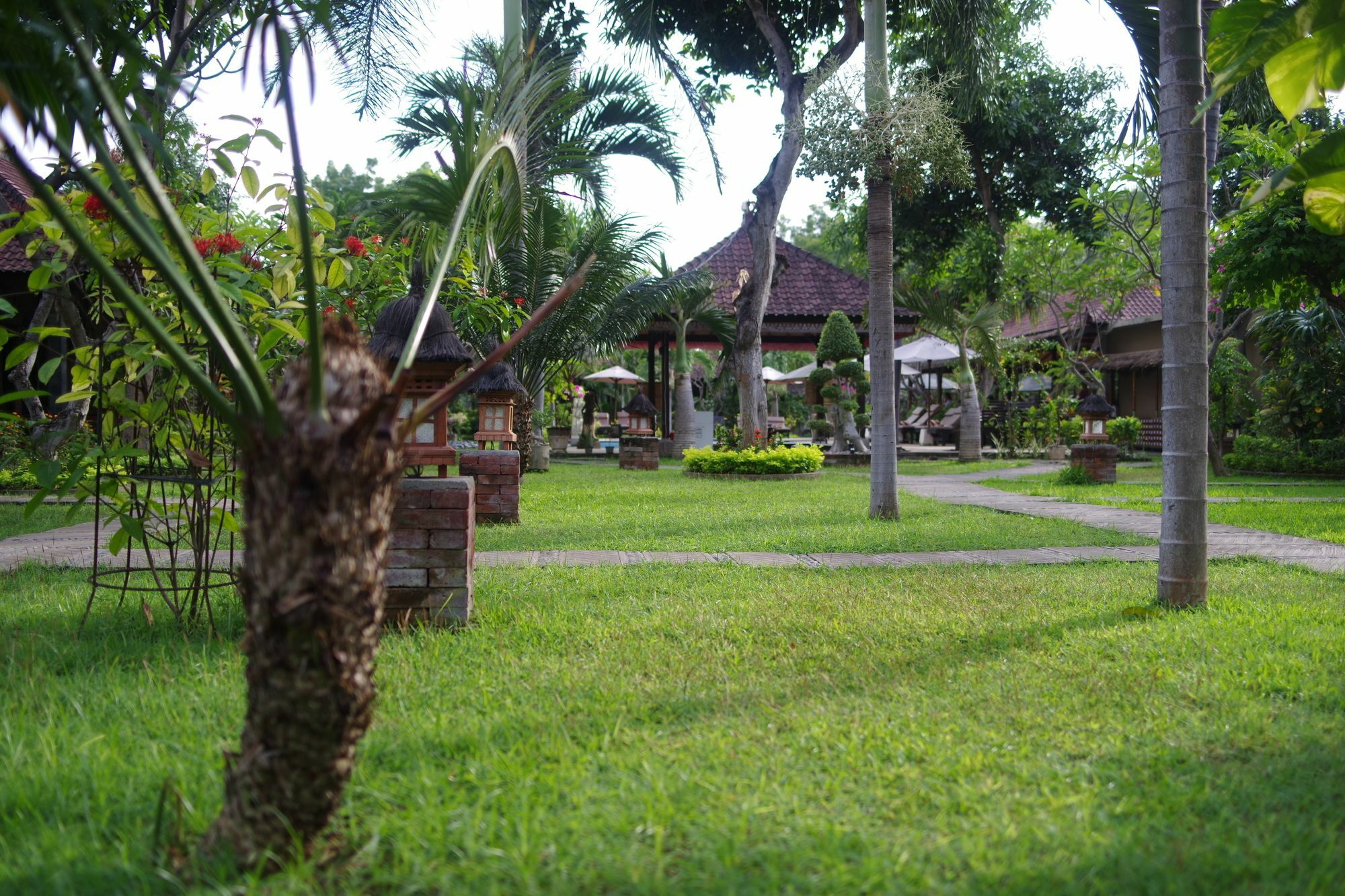 Guest house Tirta Sari Pemuteran (Bali)