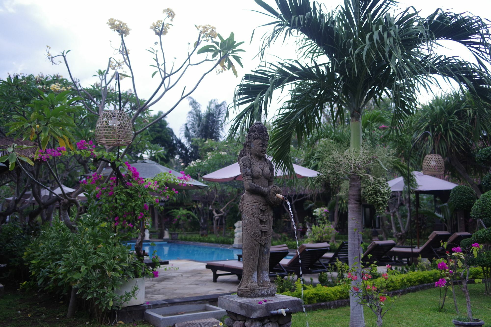 Tirta Sari 3* Pemuteran (Bali)