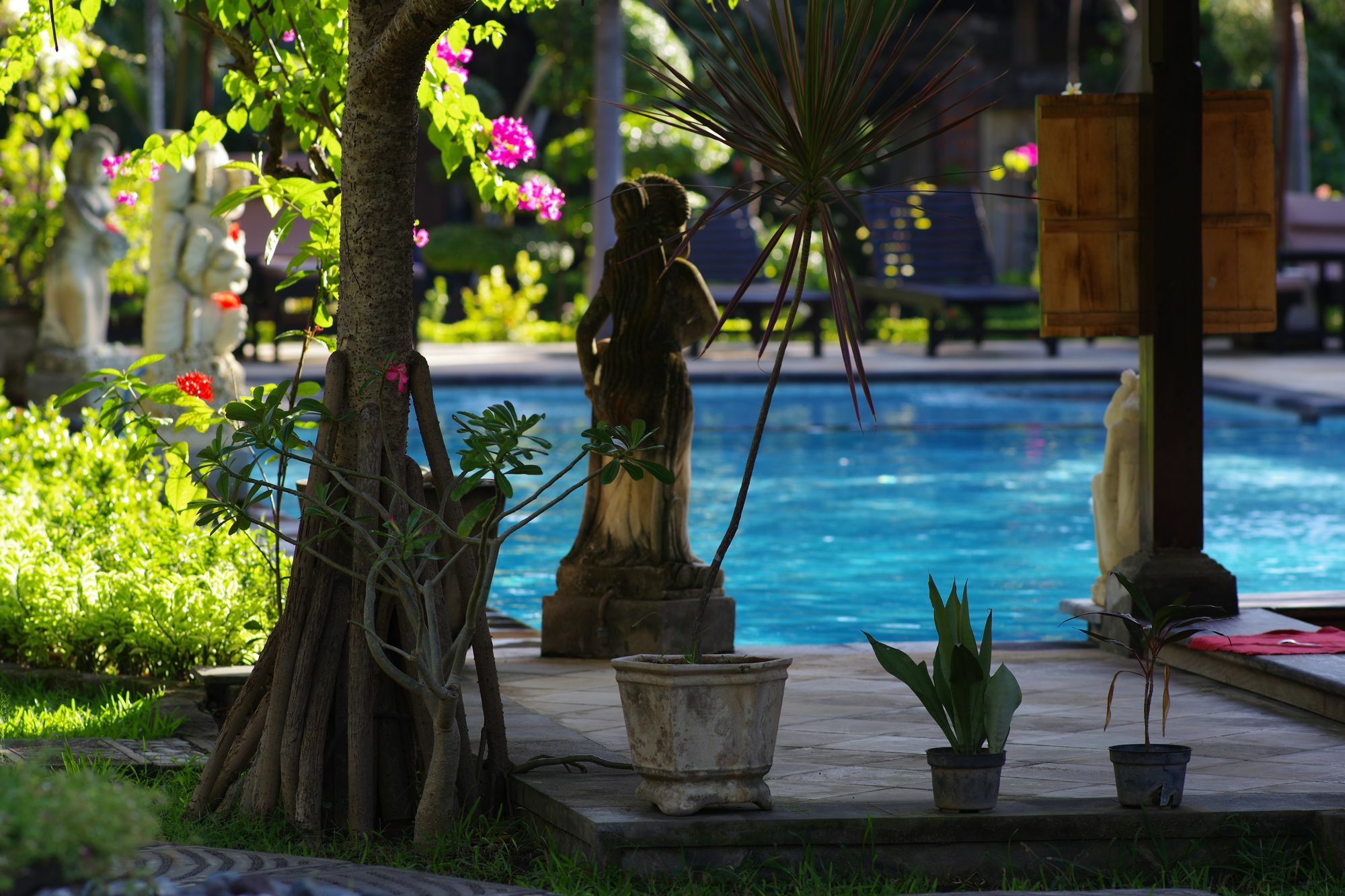 Tirta Sari 3* Pemuteran (Bali)