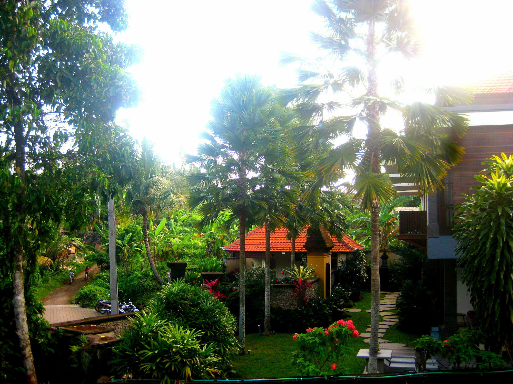 Villa Sonia Bisma Hotel Ubud (Bali)