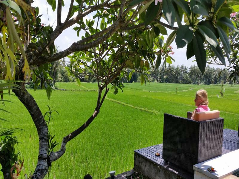 Lodtunduh Sari Holiday park 4*