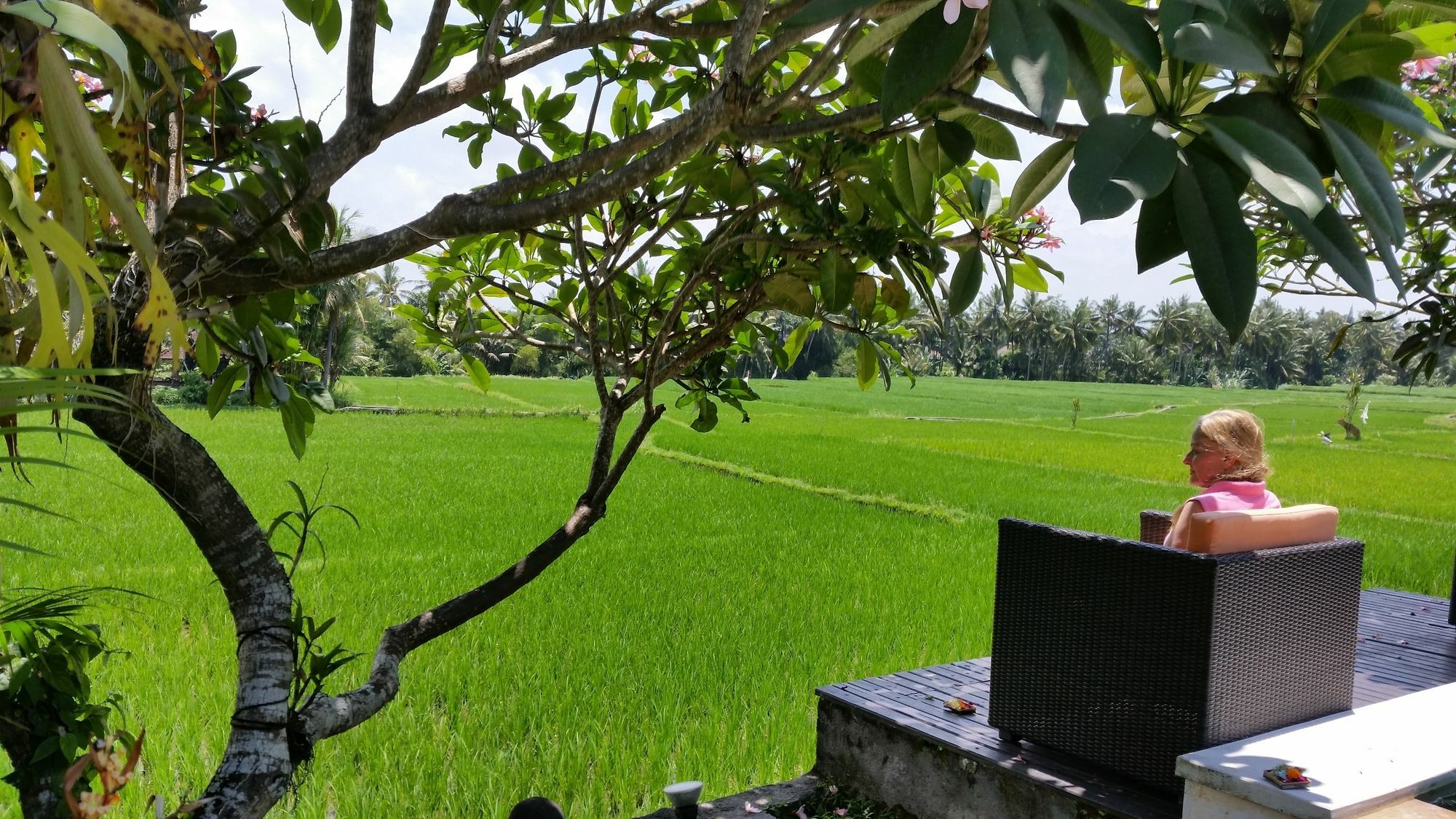 Lodtunduh Sari Holiday park 4*