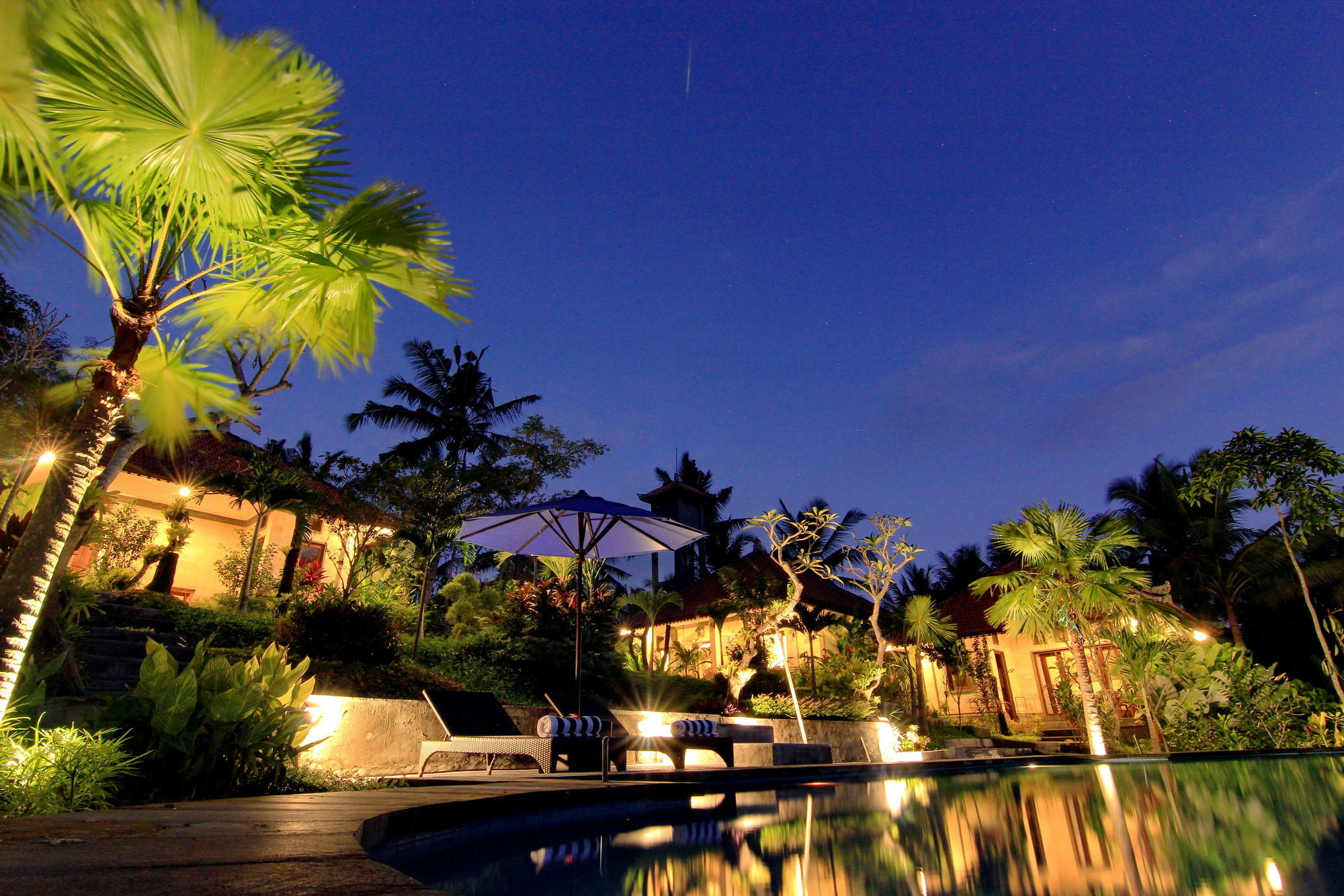 Capung Mas Villa *