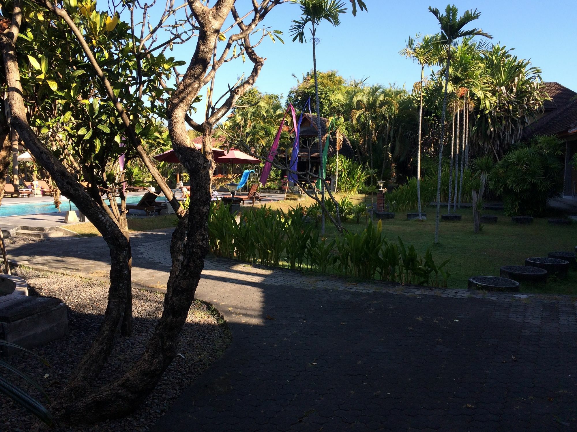 Guest house Suji Kuta (Bali)
