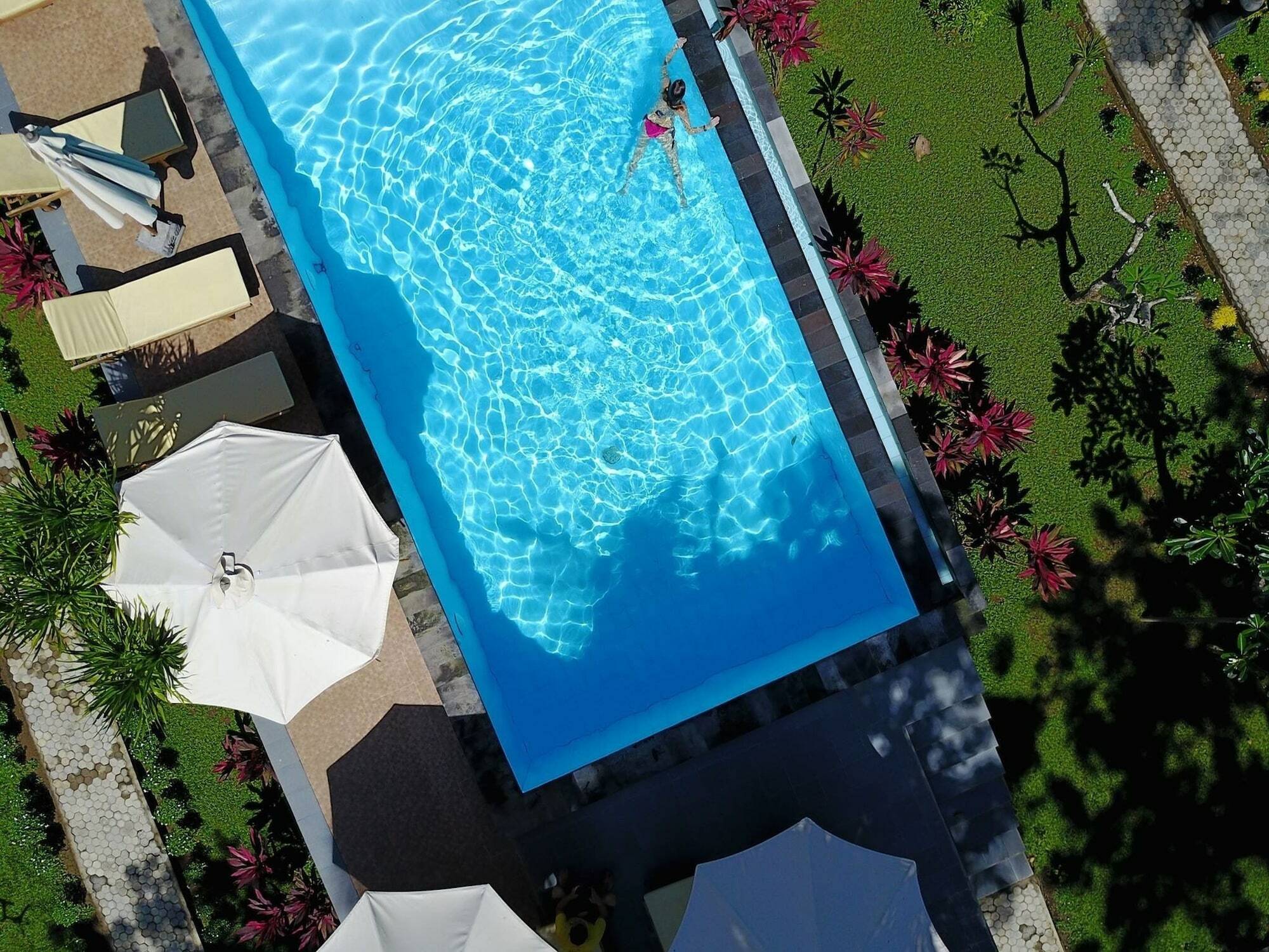 Guest house Bintang