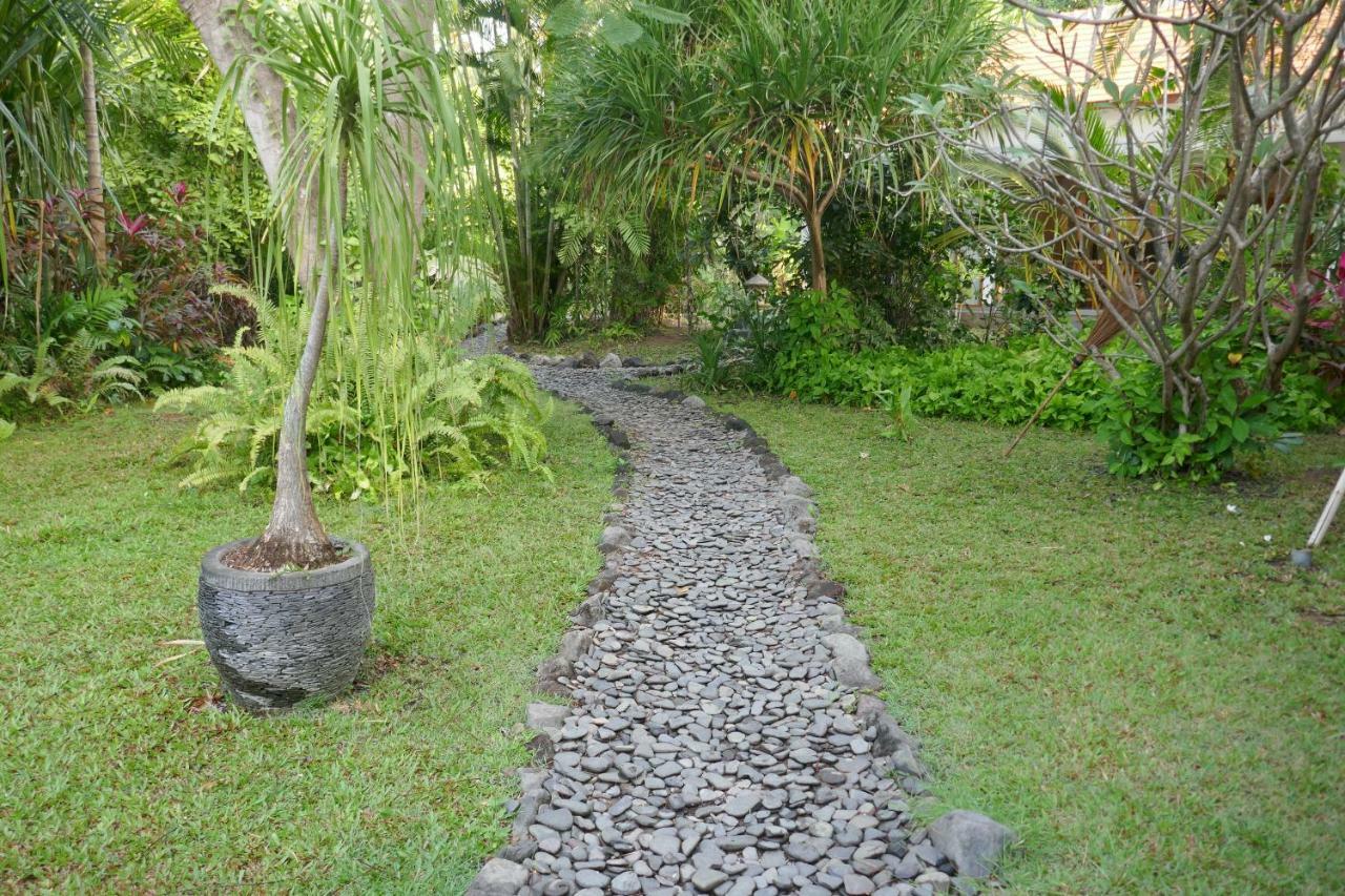 Palm Bali *