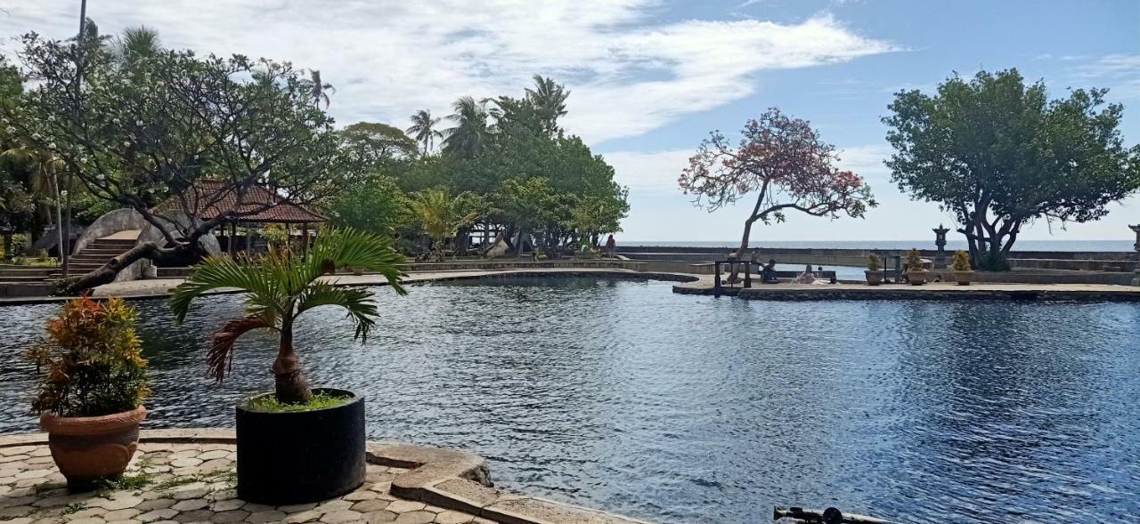 Palm Bali