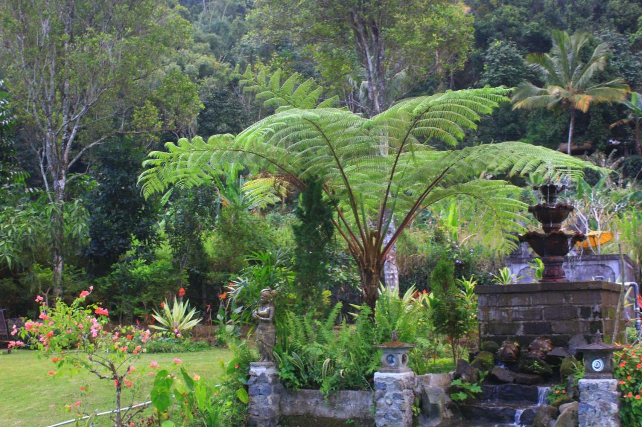 Bed & Breakfast Amartya Puri Munduk (Bali)