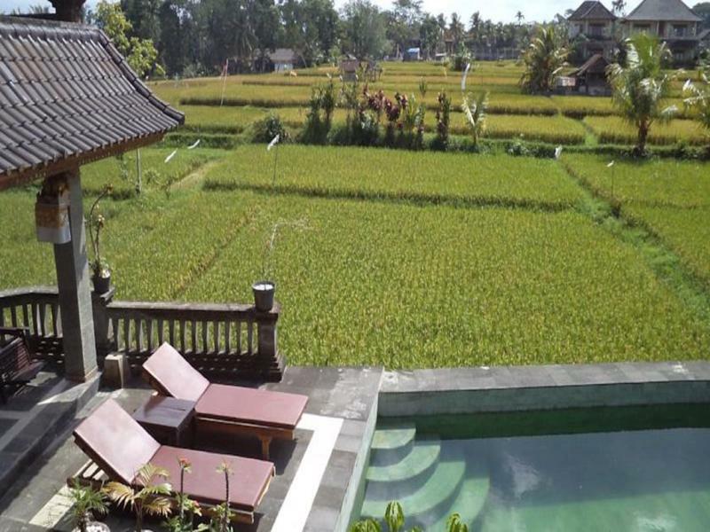 Ala's Lagoon Guest house 3*