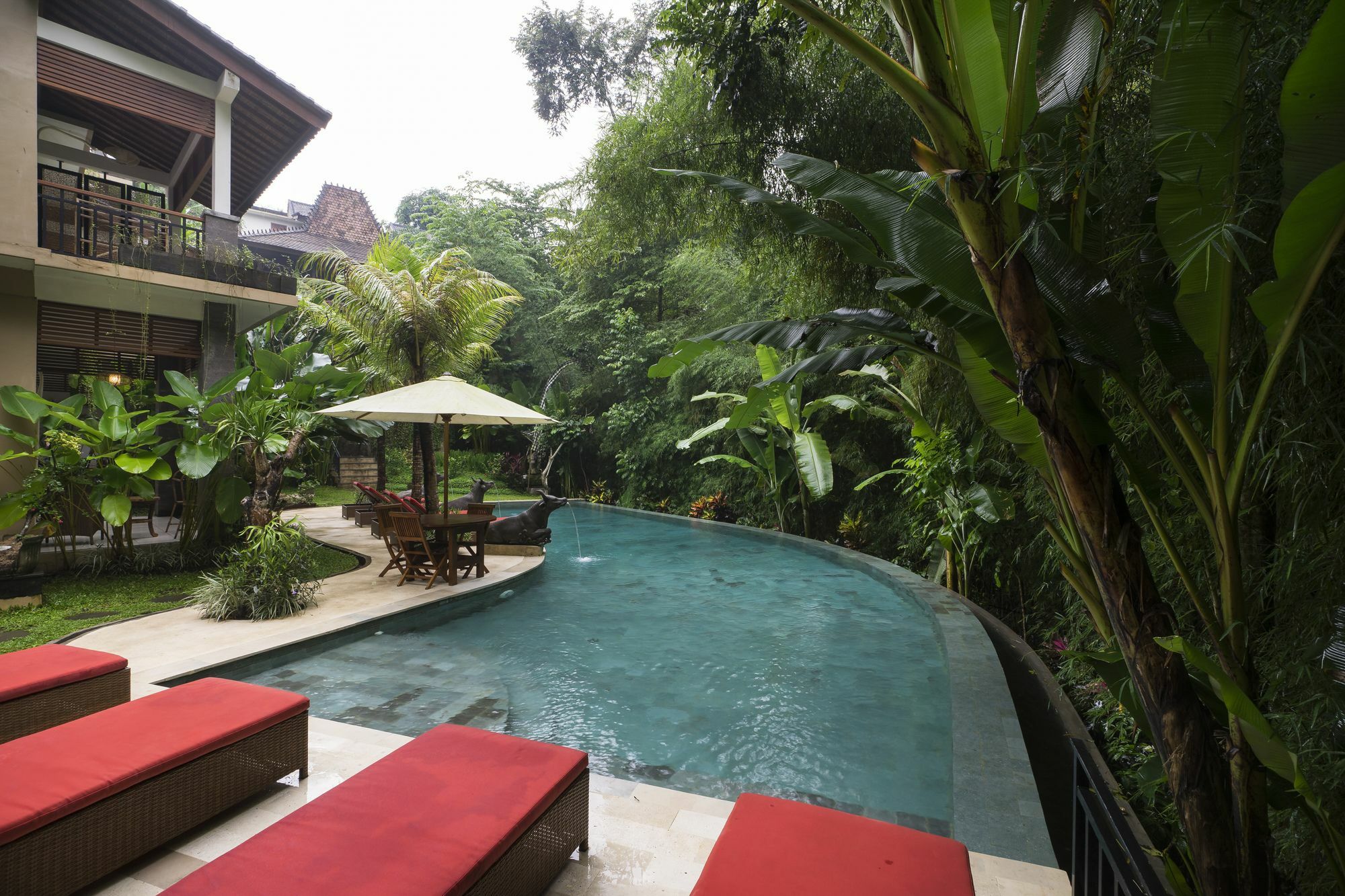 Jungle Haven 3*
