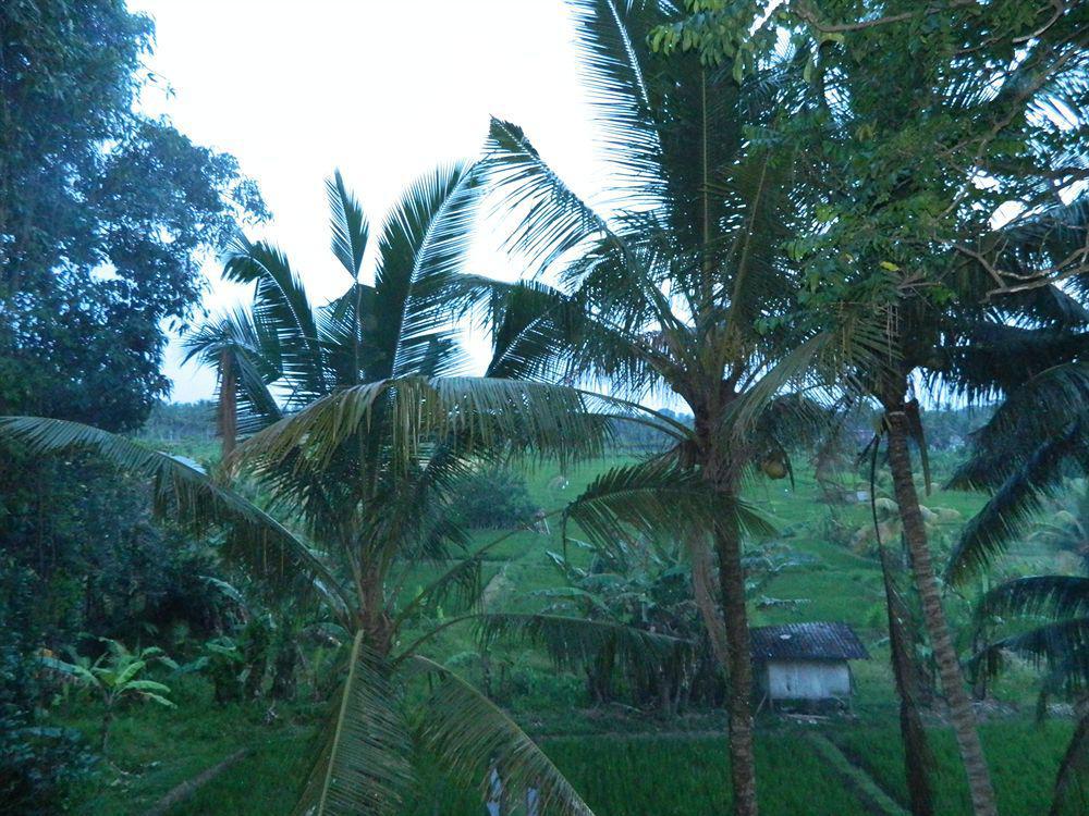 Suly Garden Villa Ubud