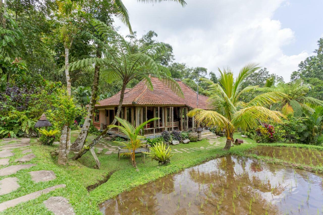 Resort Prana Dewi Mountain 4*